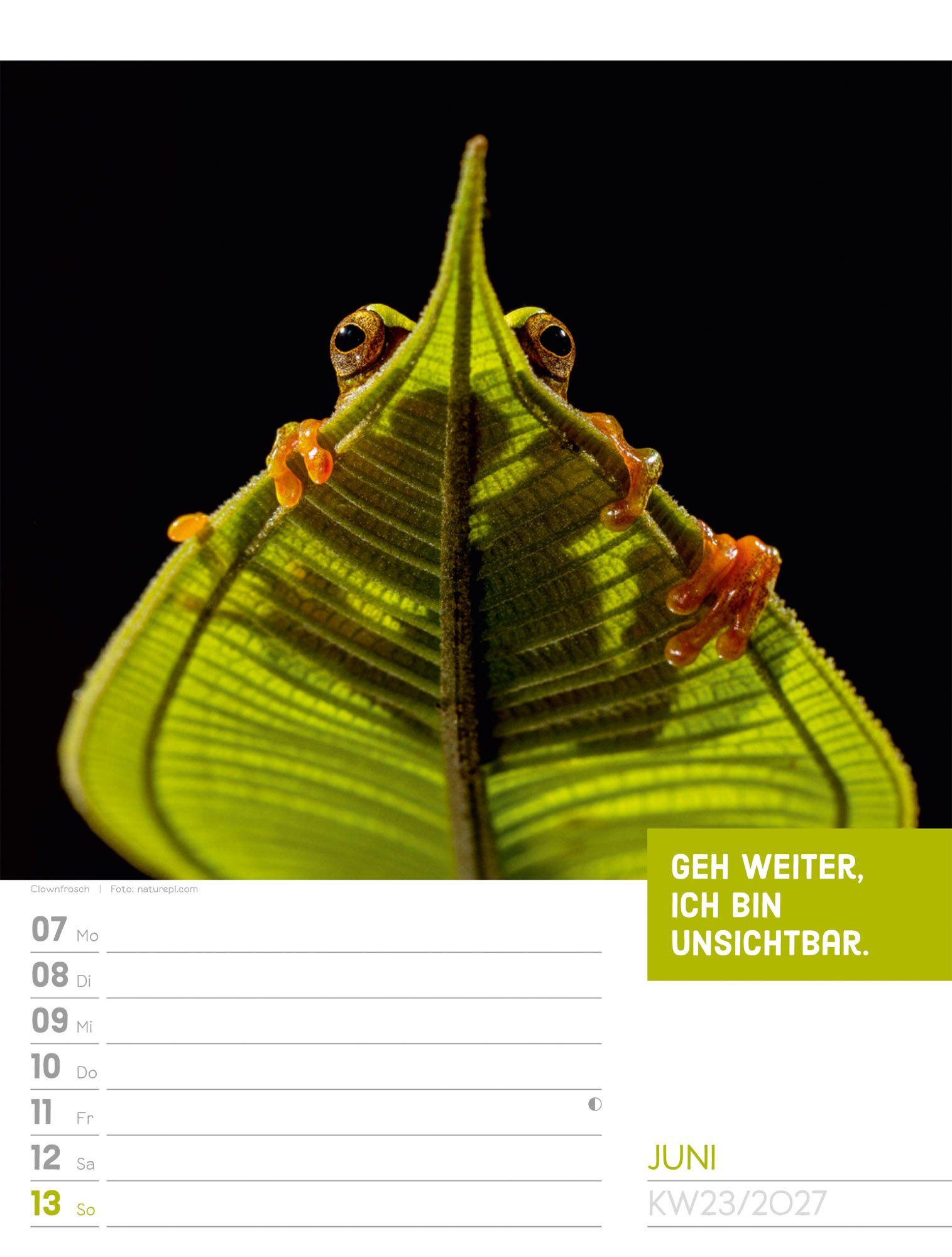 Beispielinhalt (Bild) Tierisch Sprüchekalender Wochenplaner 2027