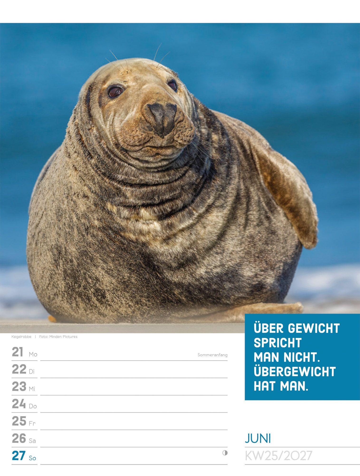 Beispielinhalt (Bild) Tierisch Sprüchekalender Wochenplaner 2027