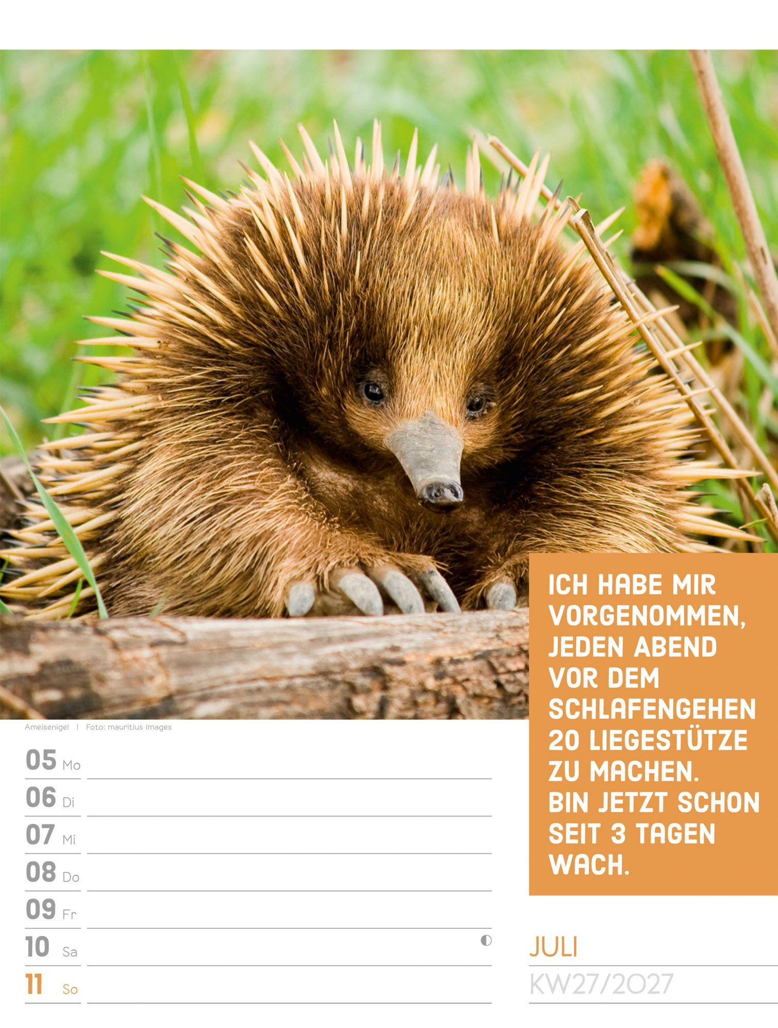 Beispielinhalt (Bild) Tierisch Sprüchekalender Wochenplaner 2027