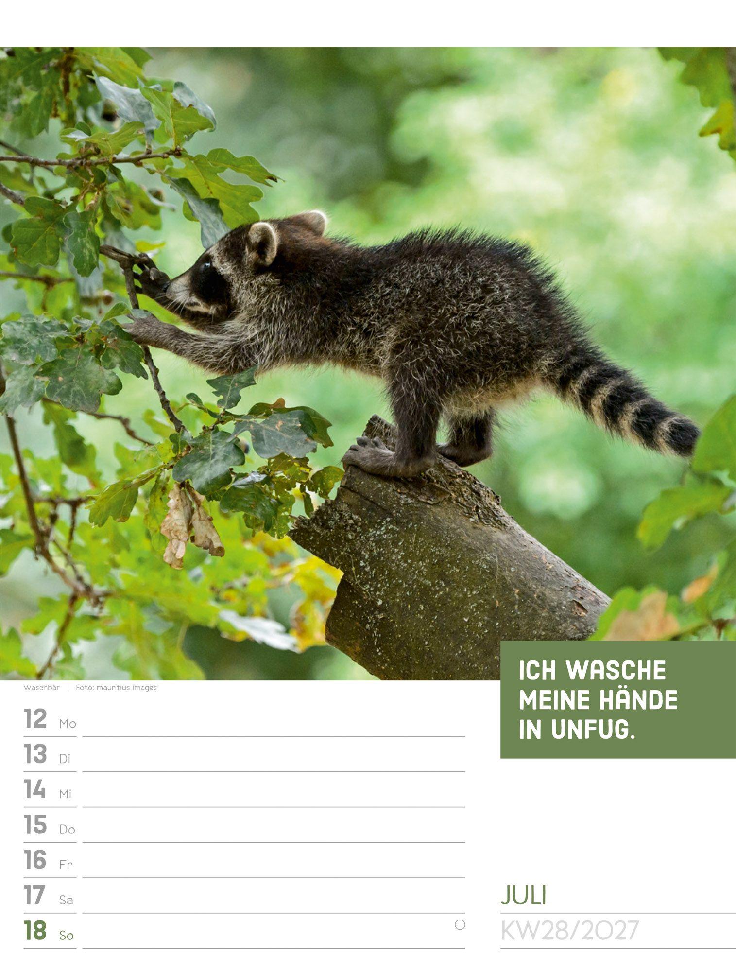 Beispielinhalt (Bild) Tierisch Sprüchekalender Wochenplaner 2027