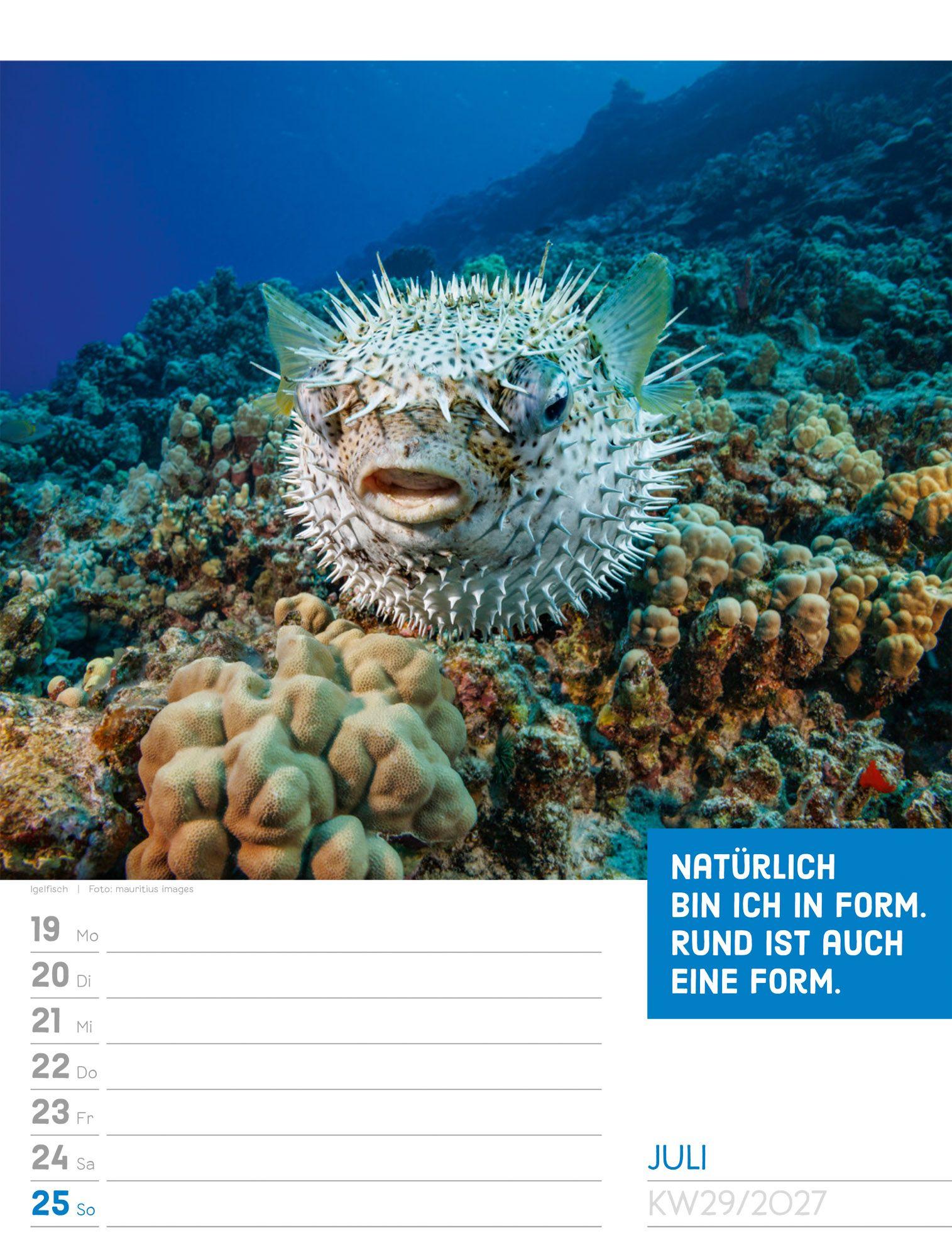 Beispielinhalt (Bild) Tierisch Sprüchekalender Wochenplaner 2027