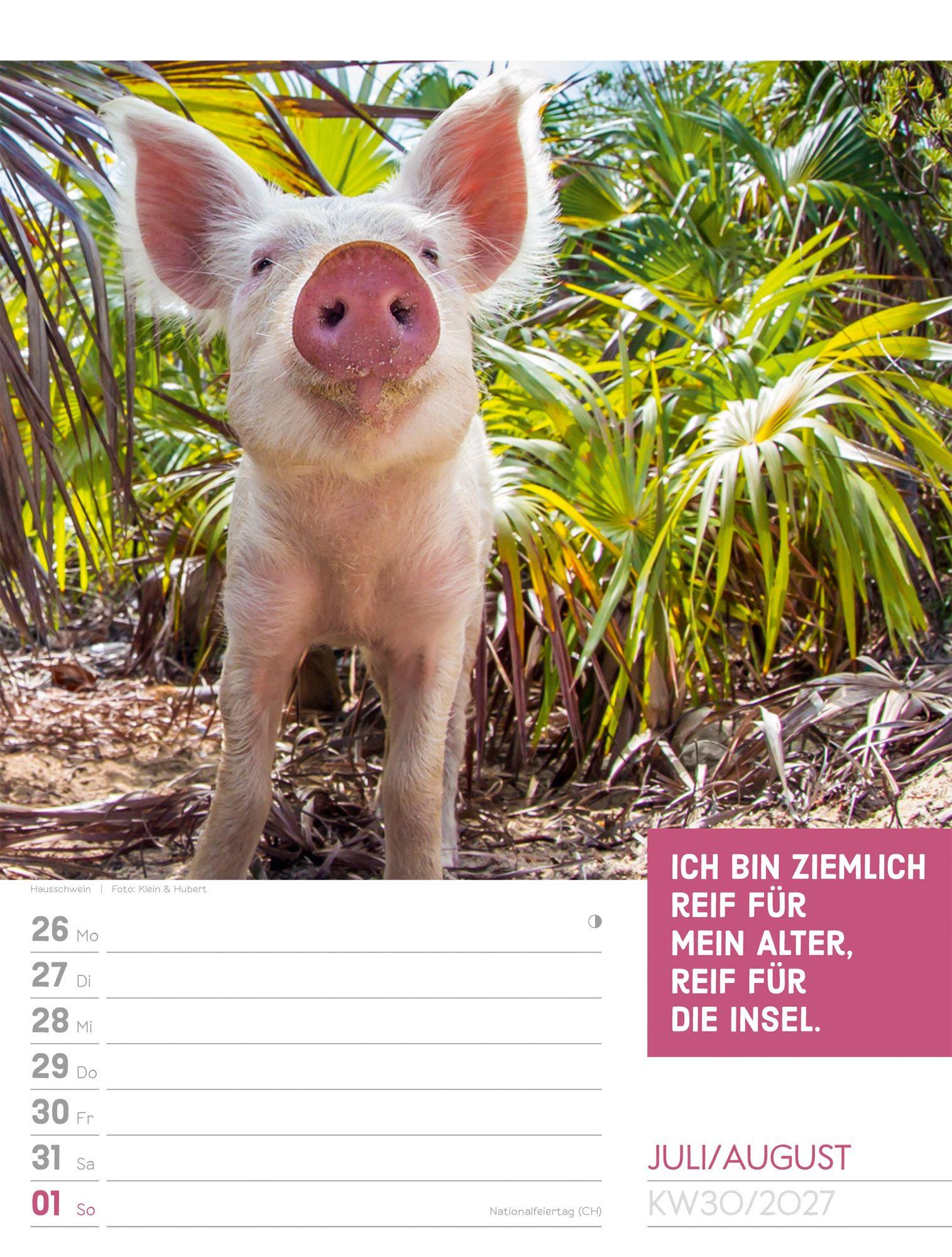 Beispielinhalt (Bild) Tierisch Sprüchekalender Wochenplaner 2027
