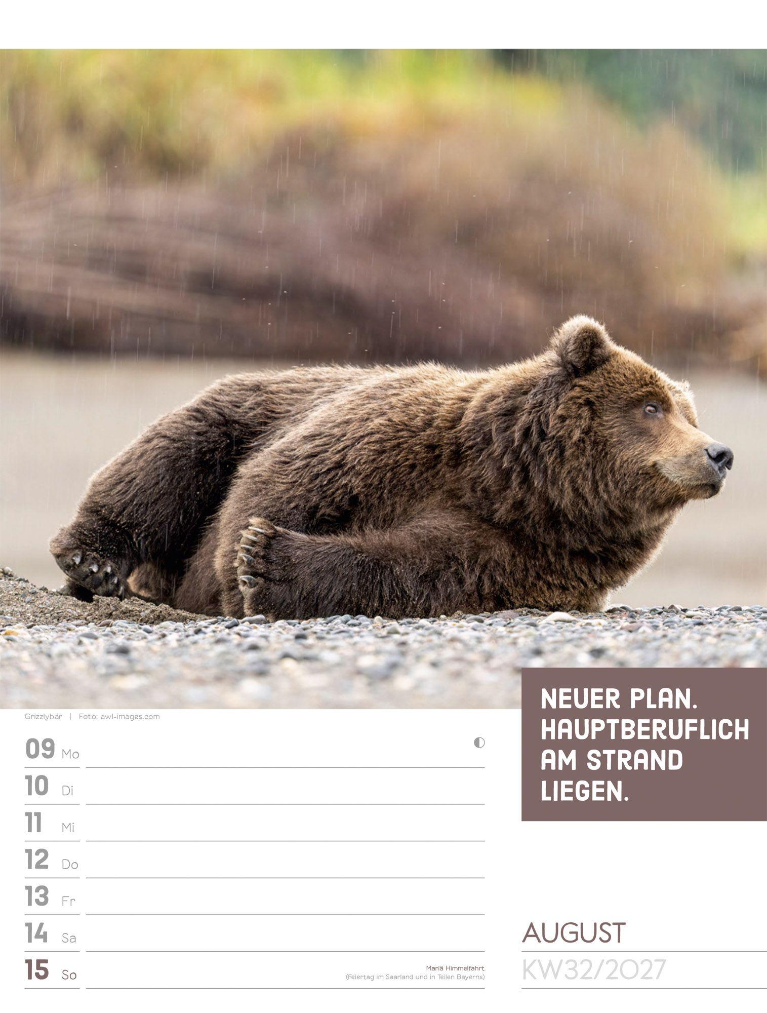 Beispielinhalt (Bild) Tierisch Sprüchekalender Wochenplaner 2027