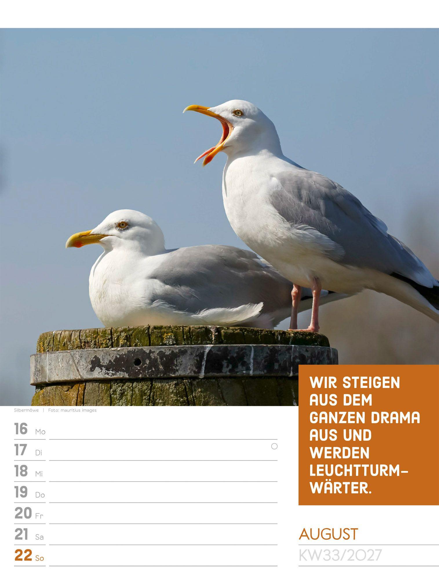 Beispielinhalt (Bild) Tierisch Sprüchekalender Wochenplaner 2027