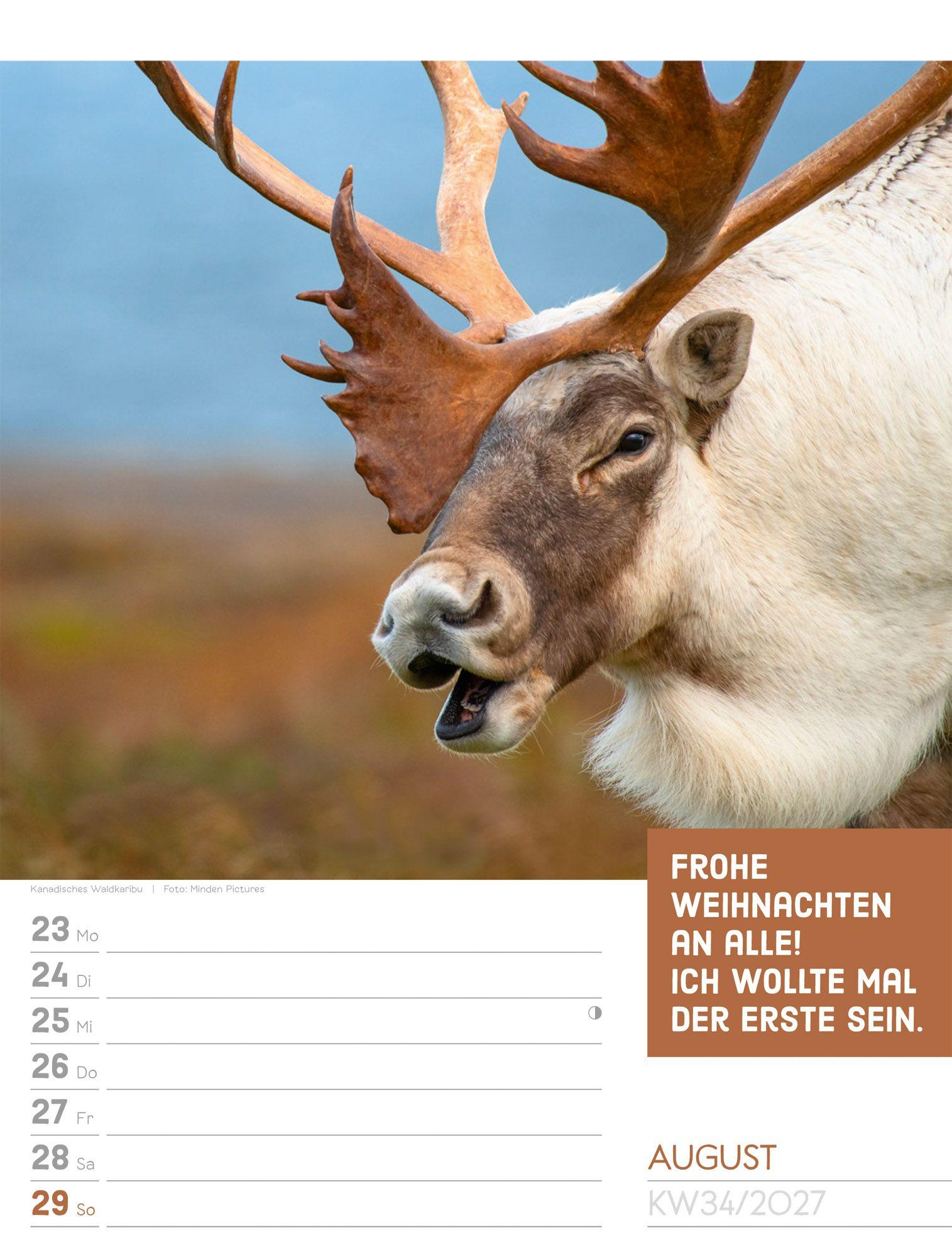 Beispielinhalt (Bild) Tierisch Sprüchekalender Wochenplaner 2027