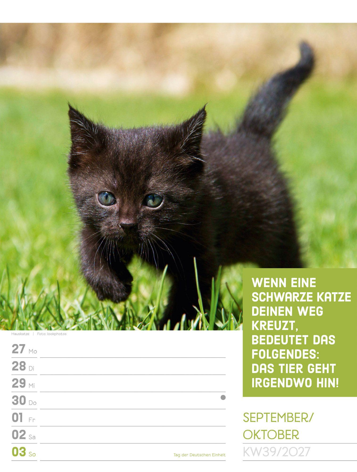 Beispielinhalt (Bild) Tierisch Sprüchekalender Wochenplaner 2027