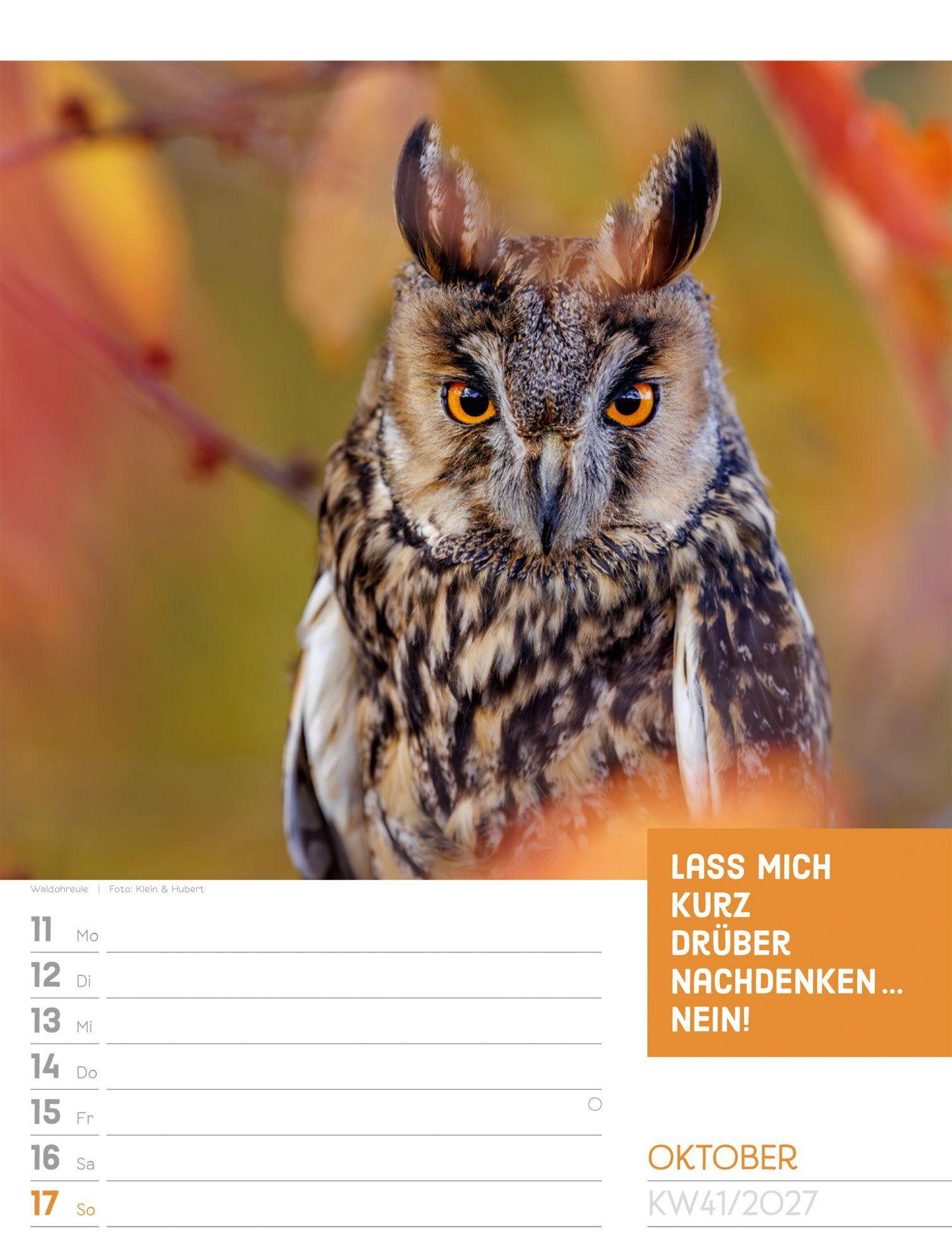 Beispielinhalt (Bild) Tierisch Sprüchekalender Wochenplaner 2027