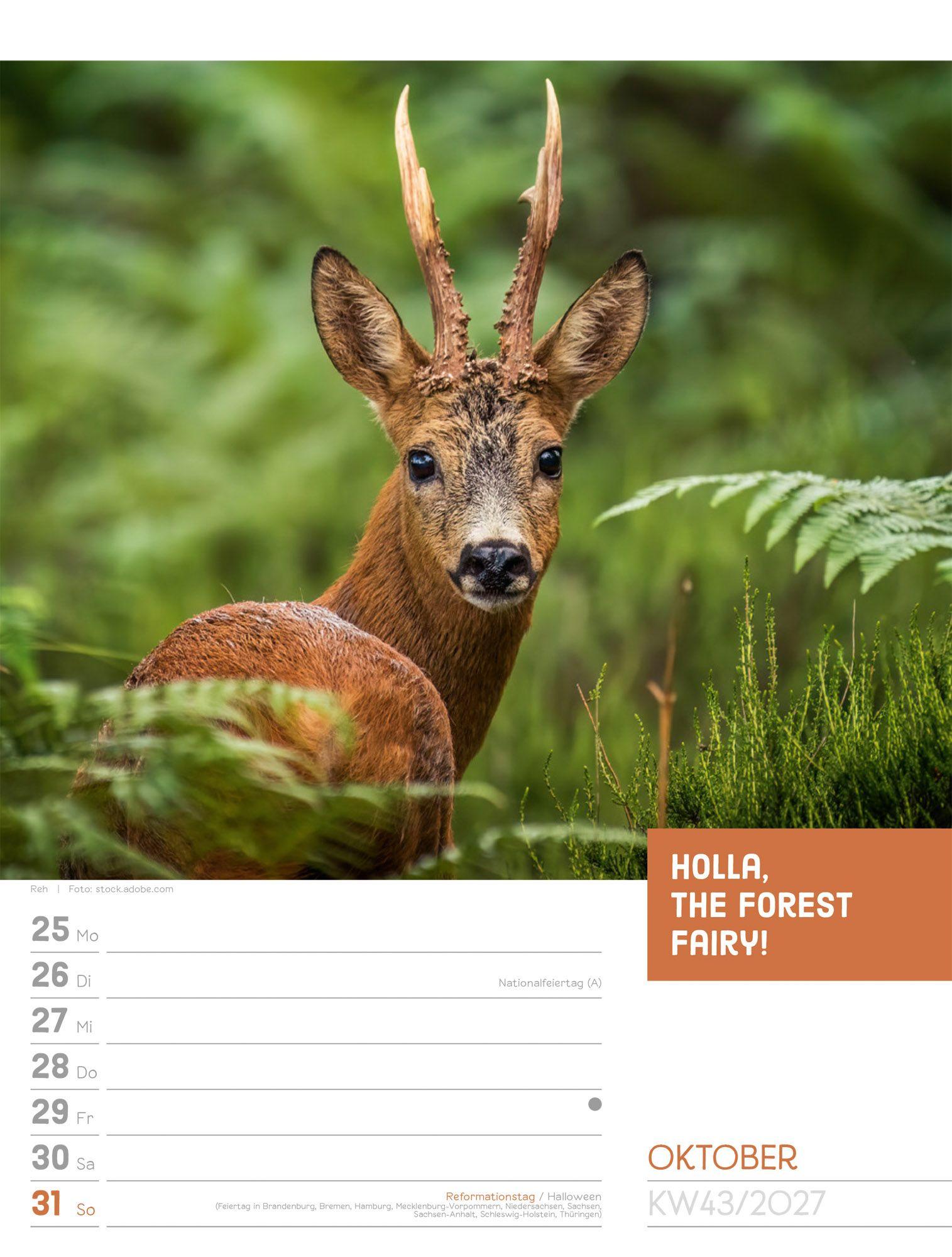 Beispielinhalt (Bild) Tierisch Sprüchekalender Wochenplaner 2027