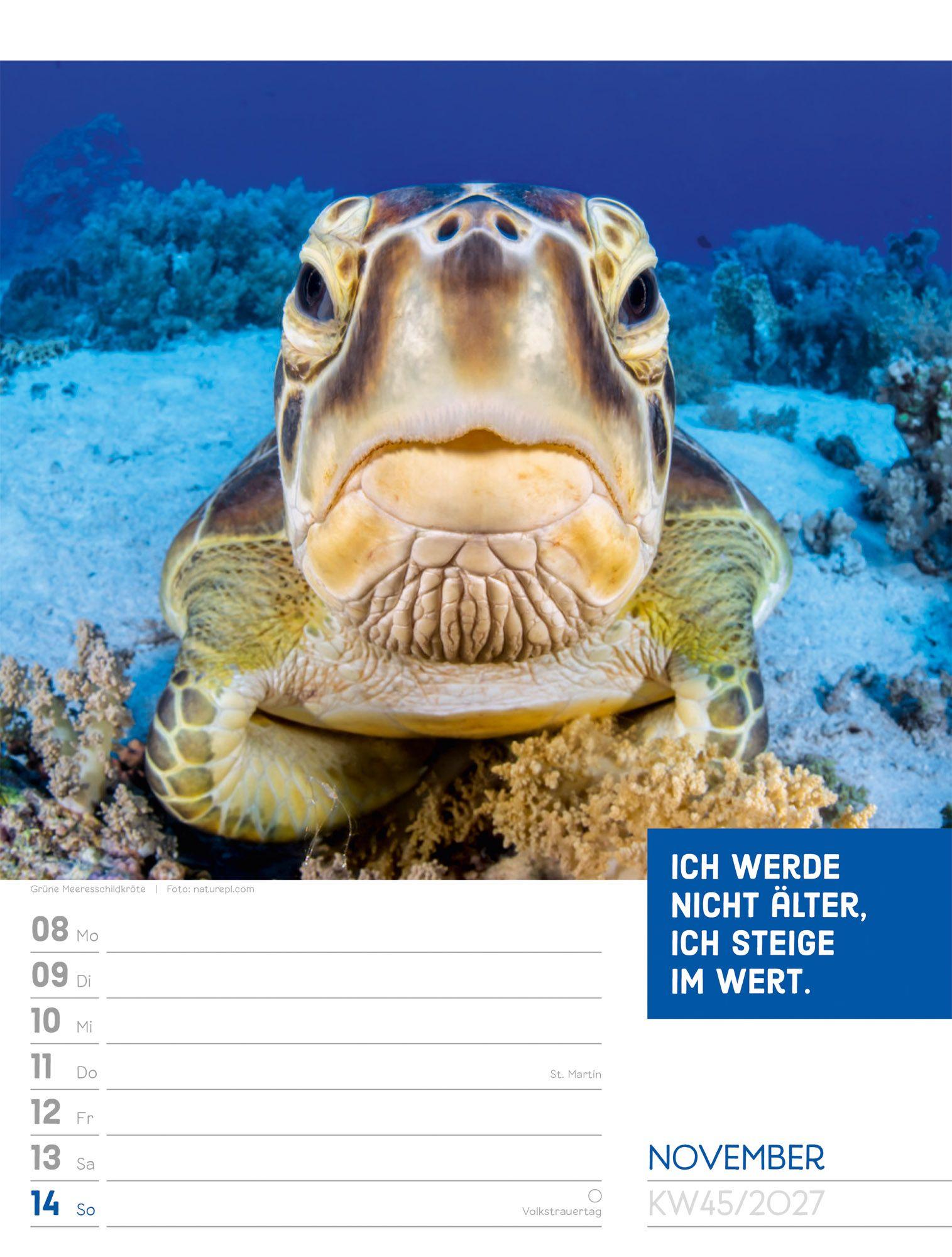 Beispielinhalt (Bild) Tierisch Sprüchekalender Wochenplaner 2027