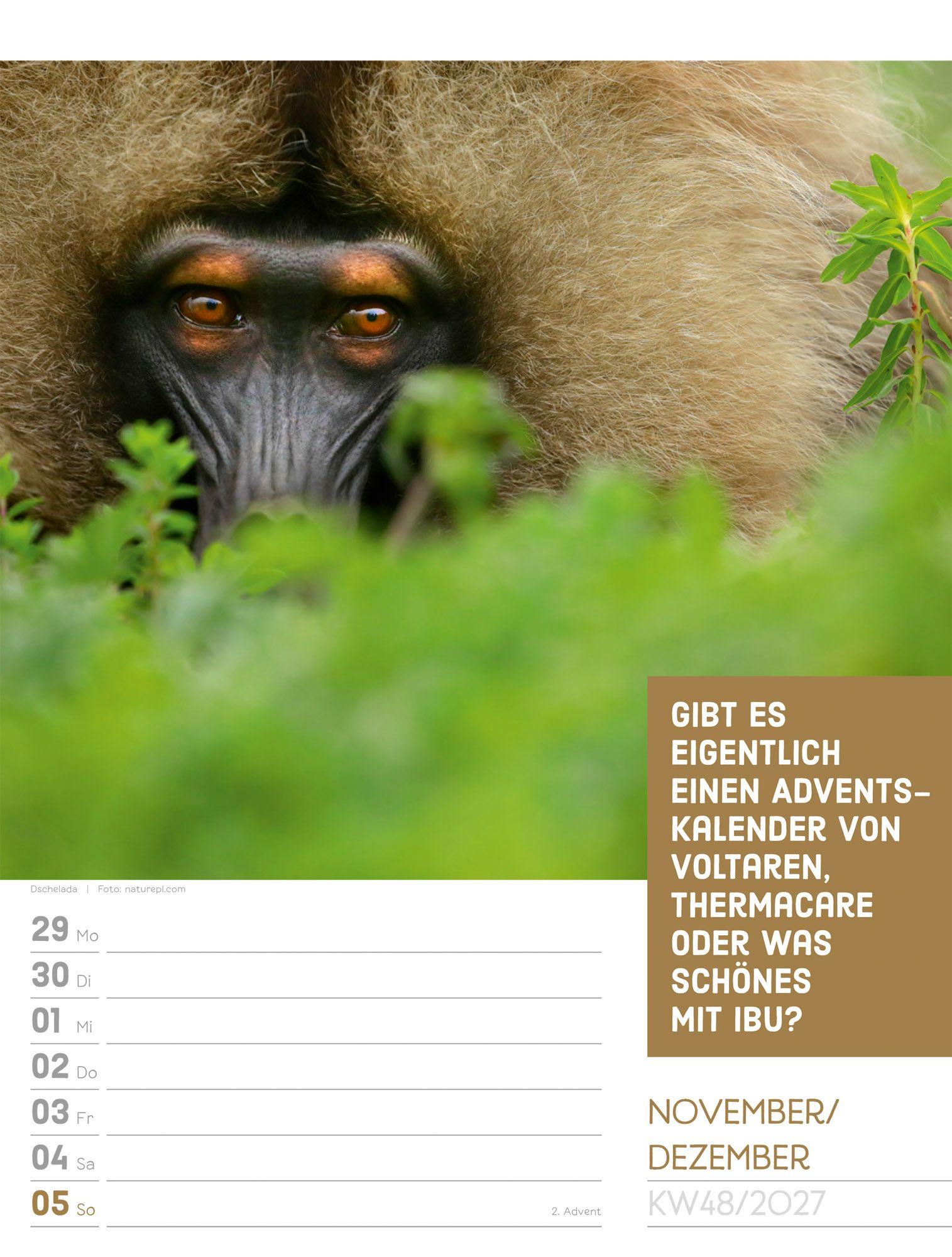 Beispielinhalt (Bild) Tierisch Sprüchekalender Wochenplaner 2027