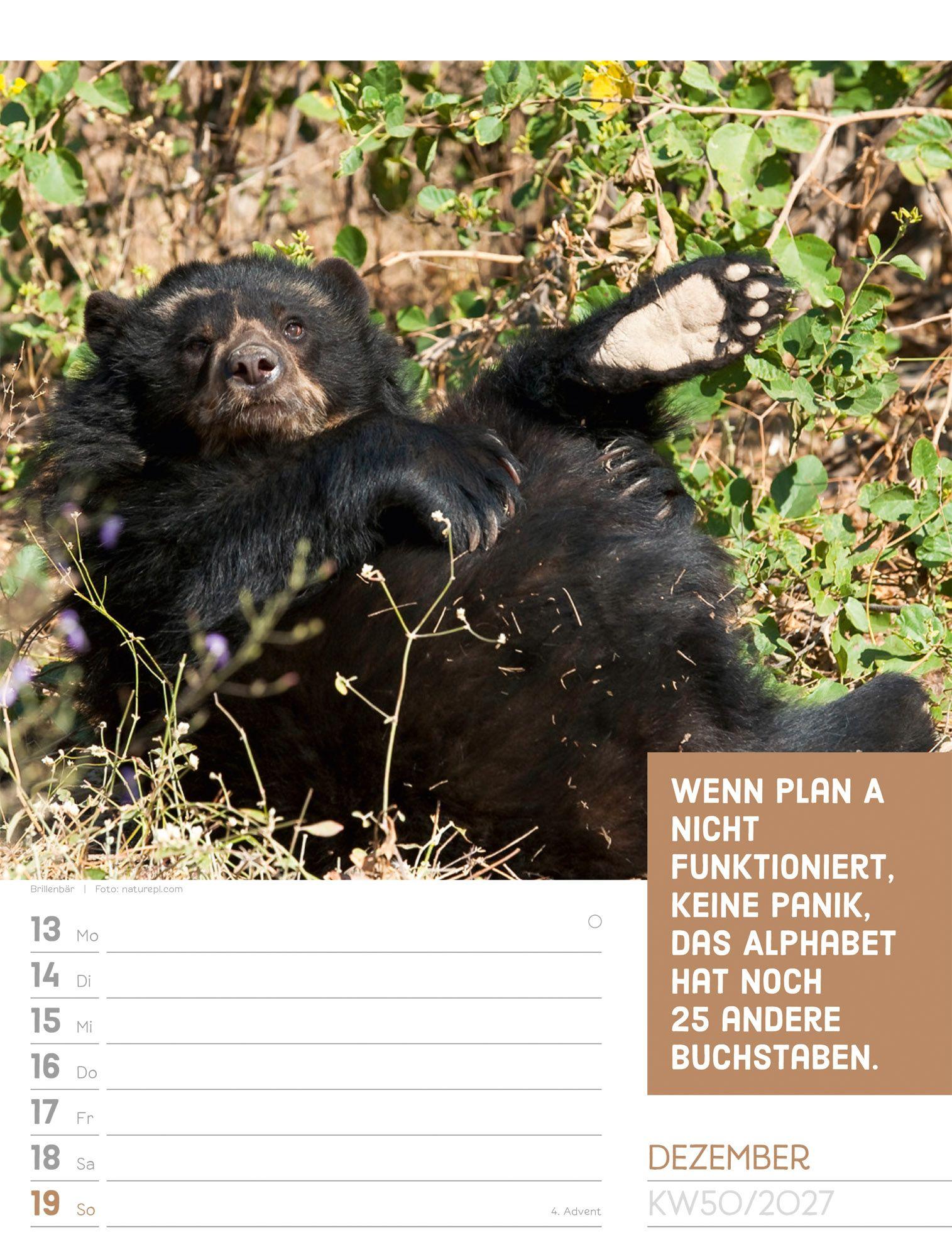 Beispielinhalt (Bild) Tierisch Sprüchekalender Wochenplaner 2027