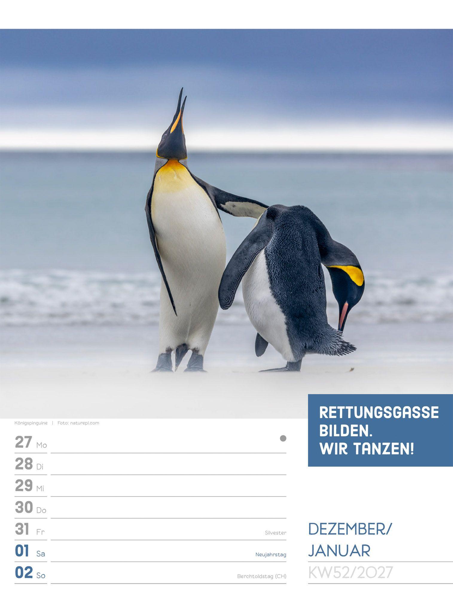 Beispielinhalt (Bild) Tierisch Sprüchekalender Wochenplaner 2027