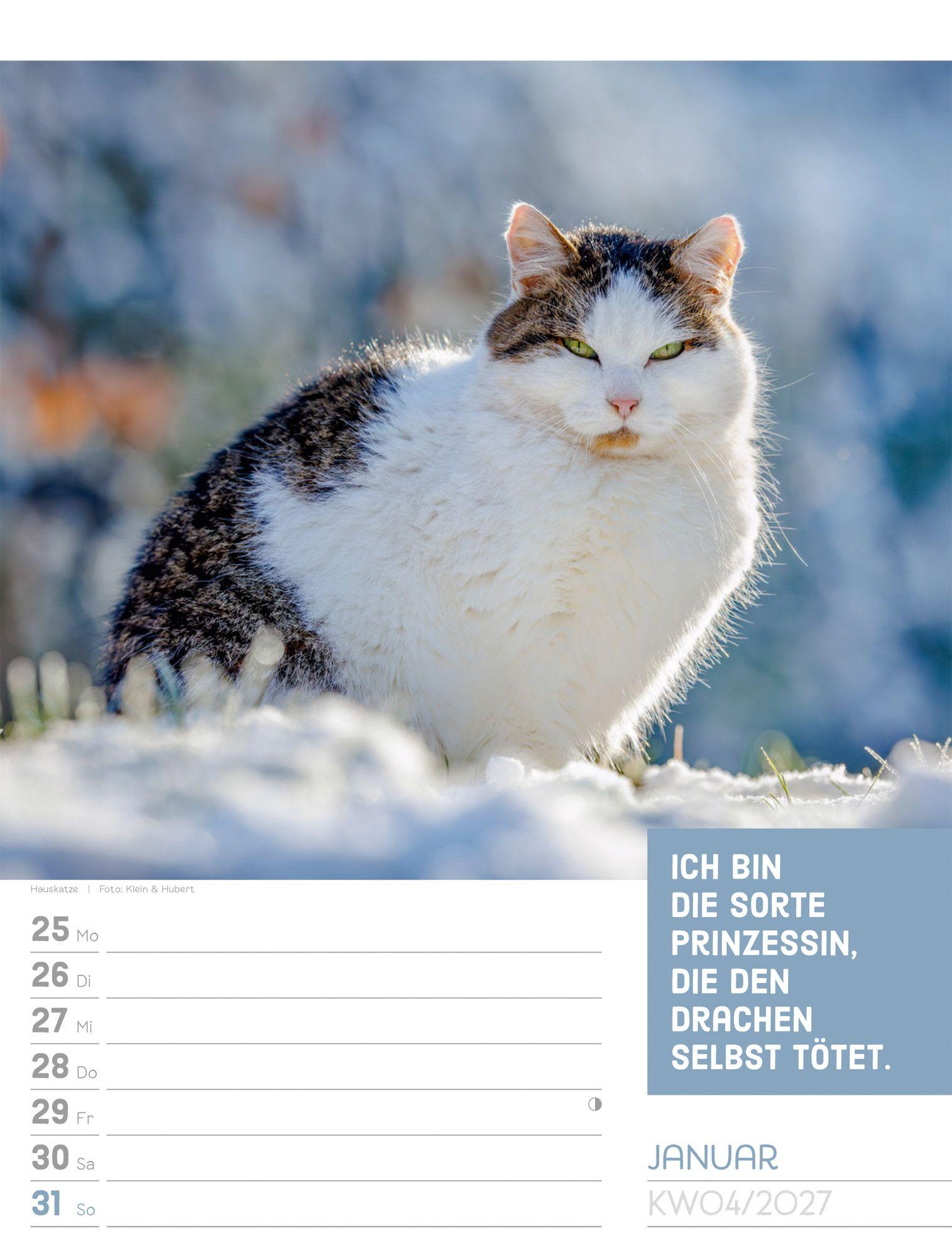 Beispielinhalt (Bild) Tierisch Sprüchekalender Wochenplaner 2027