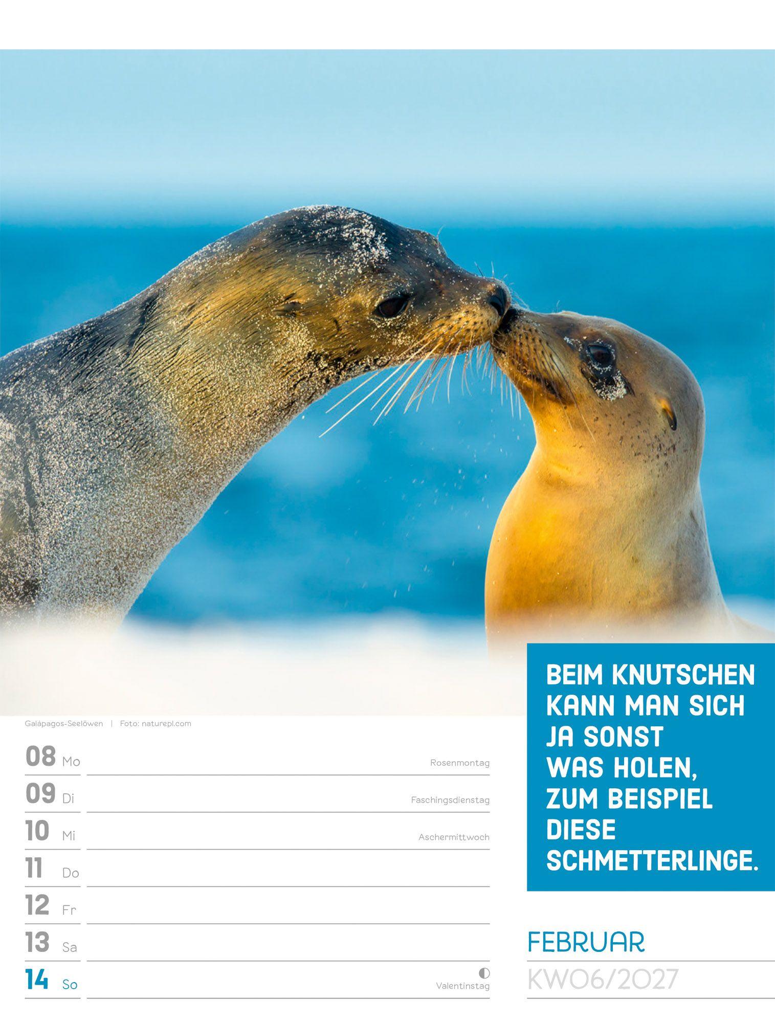 Beispielinhalt (Bild) Tierisch Sprüchekalender Wochenplaner 2027