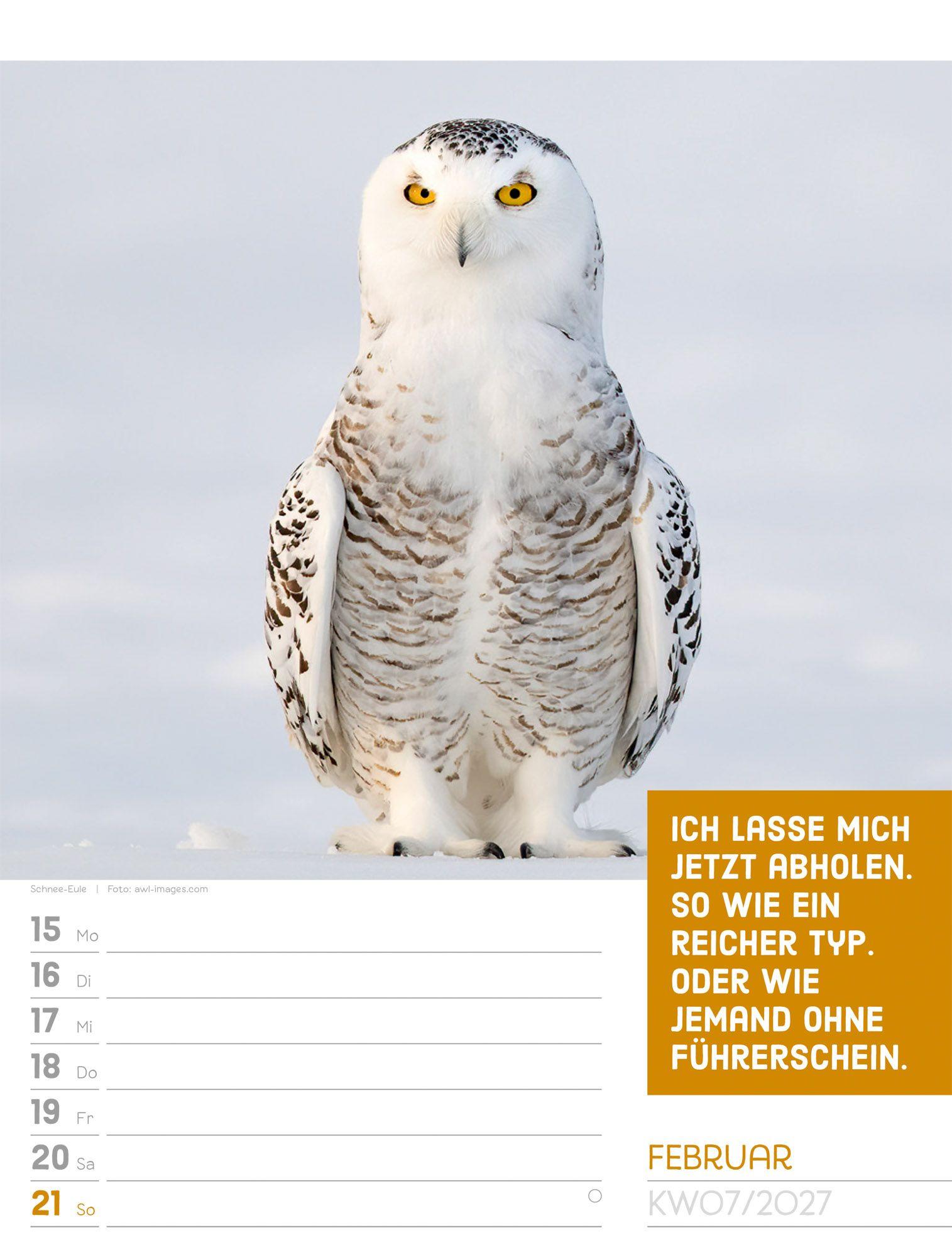 Beispielinhalt (Bild) Tierisch Sprüchekalender Wochenplaner 2027