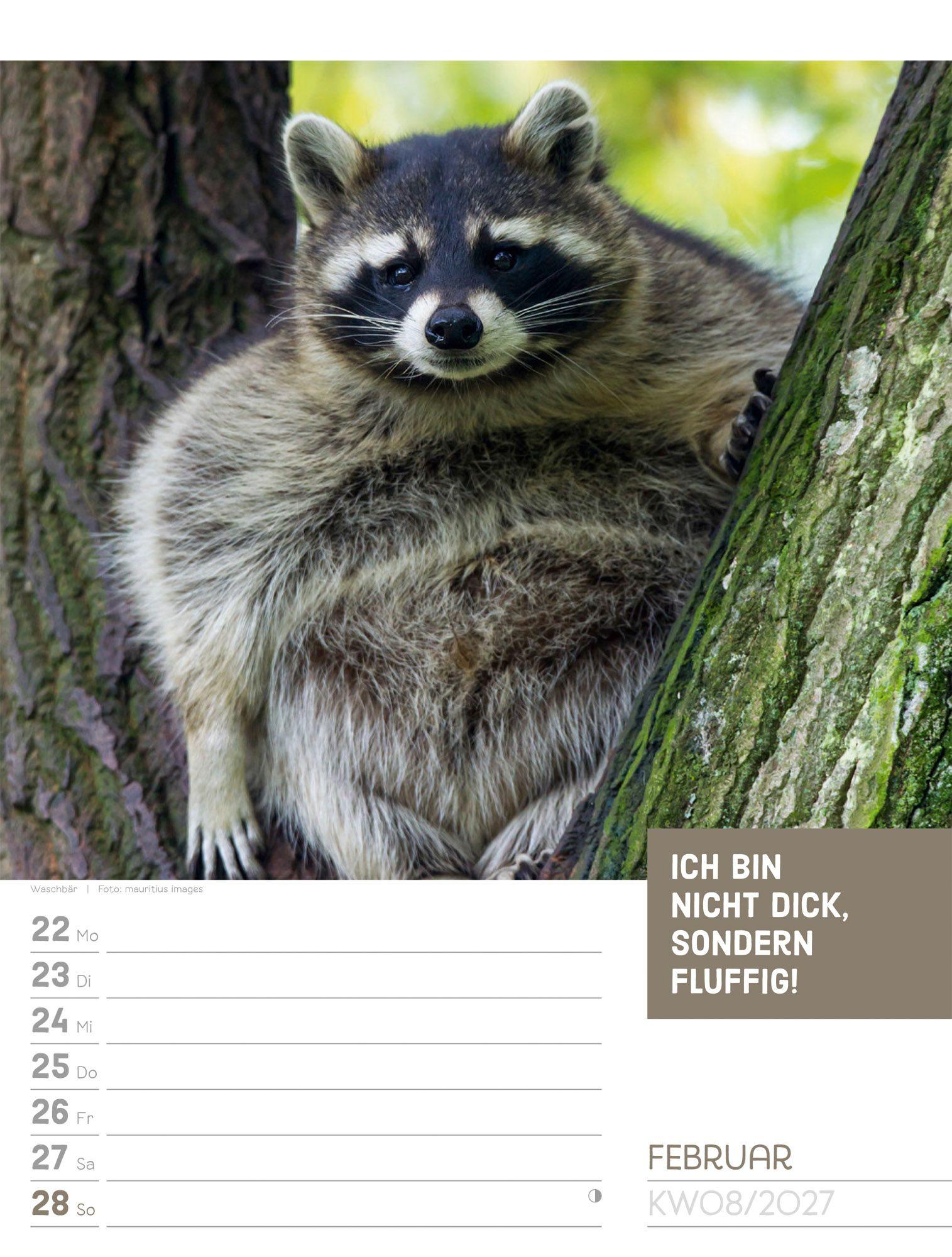 Beispielinhalt (Bild) Tierisch Sprüchekalender Wochenplaner 2027