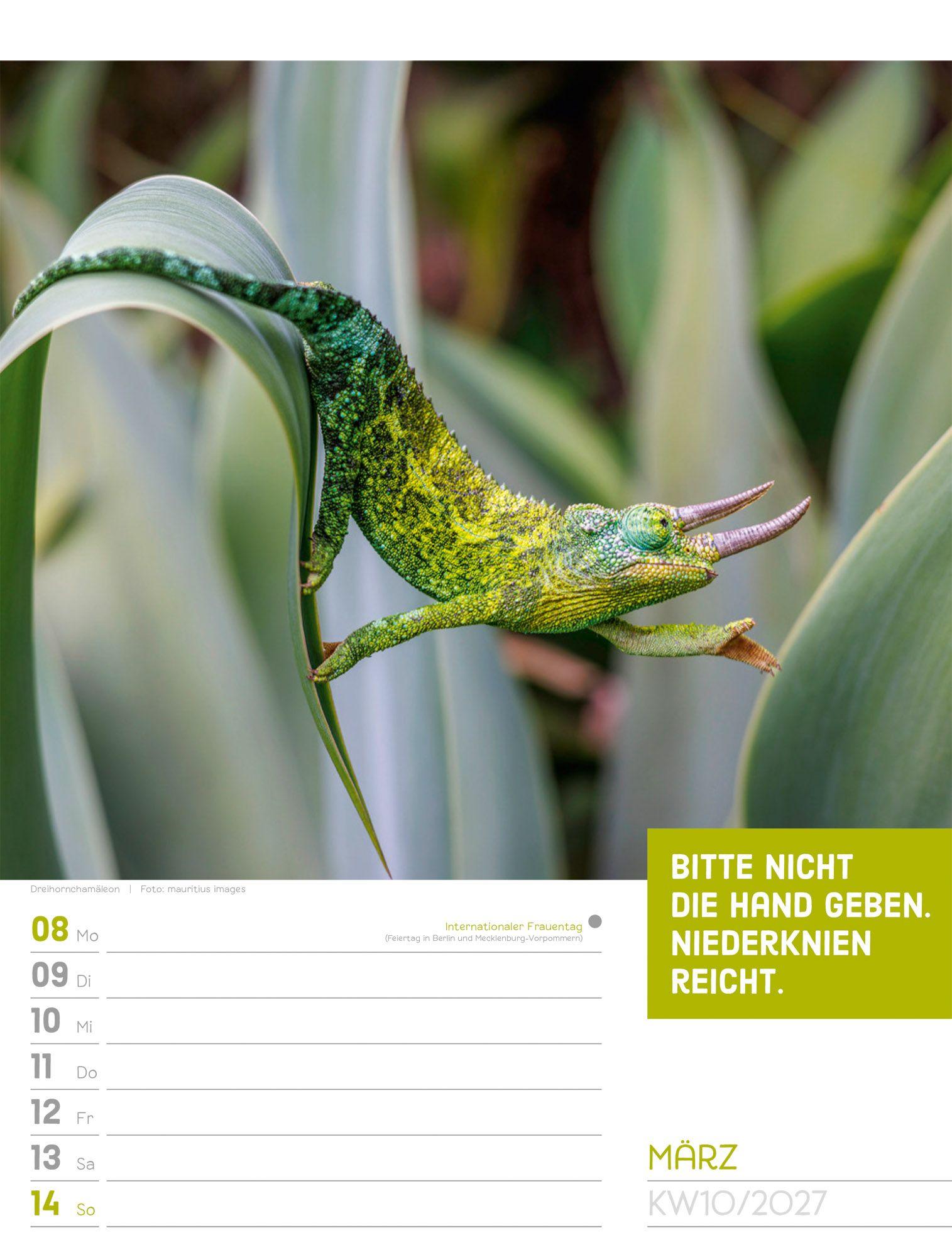 Beispielinhalt (Bild) Tierisch Sprüchekalender Wochenplaner 2027