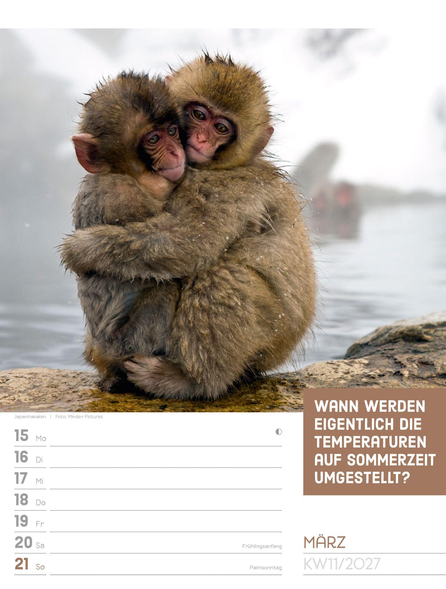 Beispielinhalt (Bild) Tierisch Sprüchekalender Wochenplaner 2027