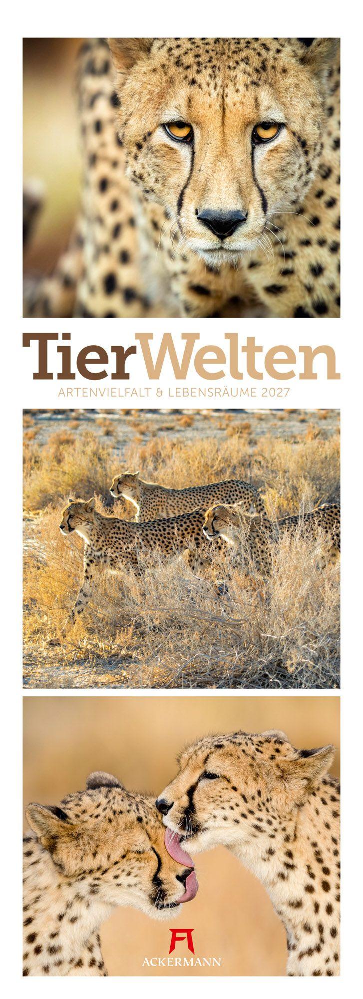Vorderes Coverbild Tierwelten Triplet-Kalender 2027 | Artenvielfalt & Lebensräume