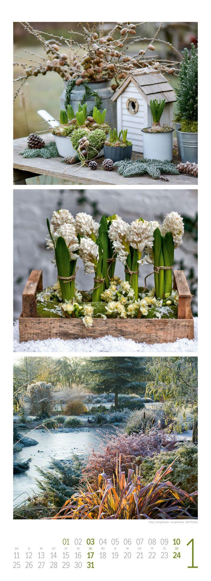 Beispielinhalt (Bild) LandGlück Triplet-Kalender 2027