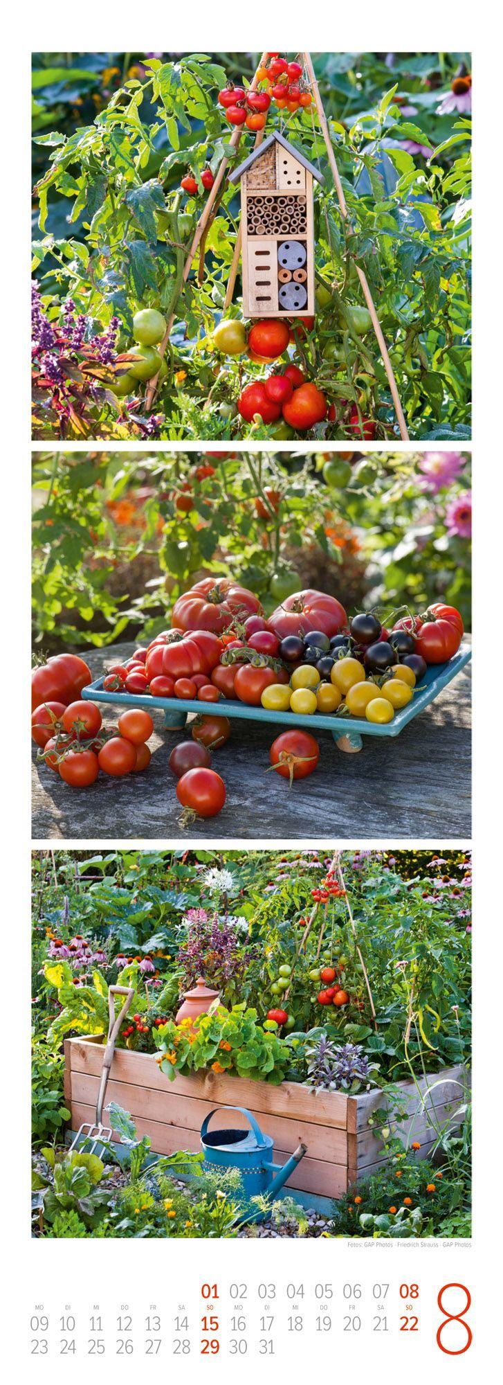 Beispielinhalt (Bild) LandGlück Triplet-Kalender 2027