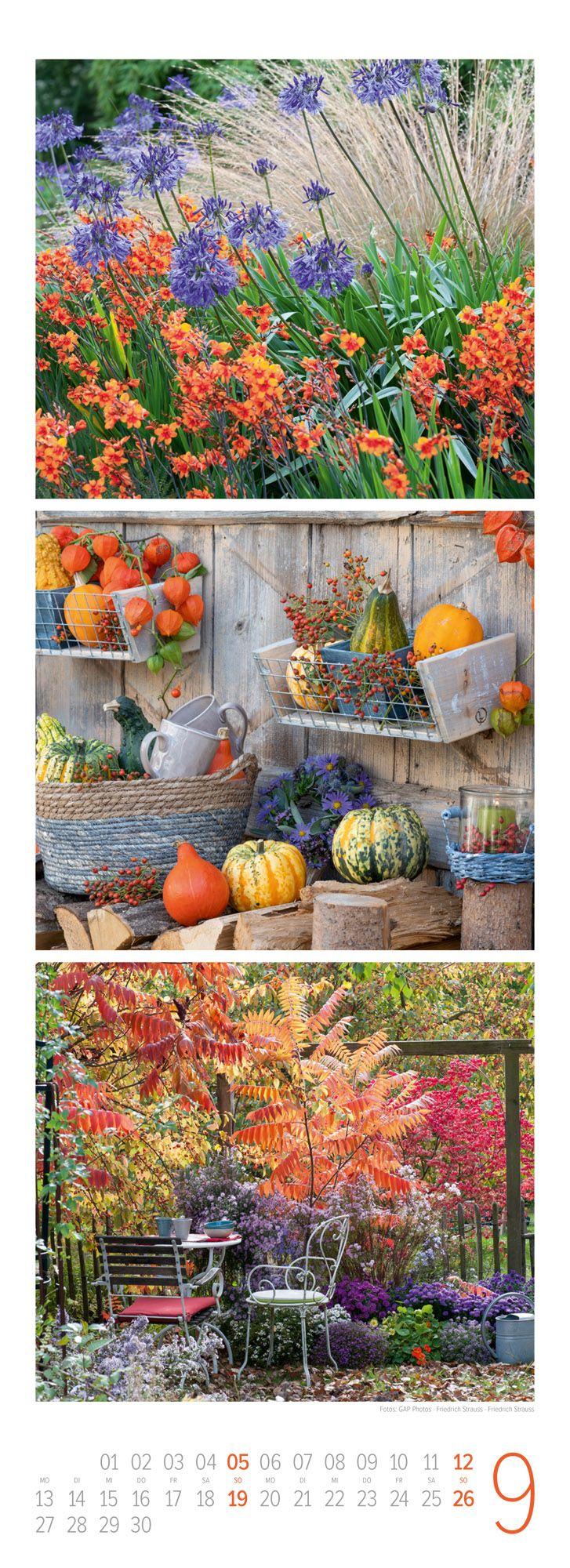 Beispielinhalt (Bild) LandGlück Triplet-Kalender 2027