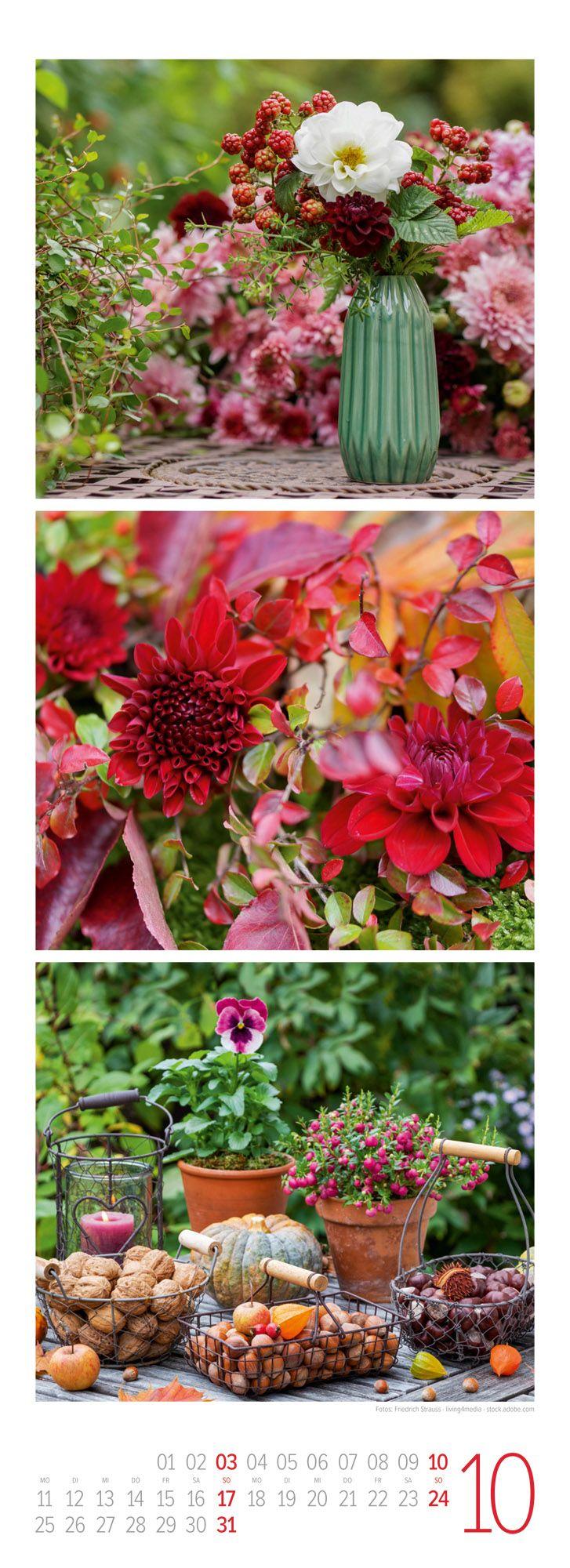 Beispielinhalt (Bild) LandGlück Triplet-Kalender 2027