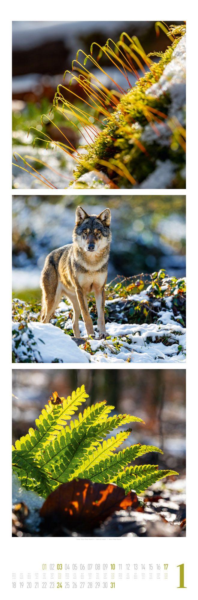 Beispielinhalt (Bild) Nature Triplet-Kalender 2027