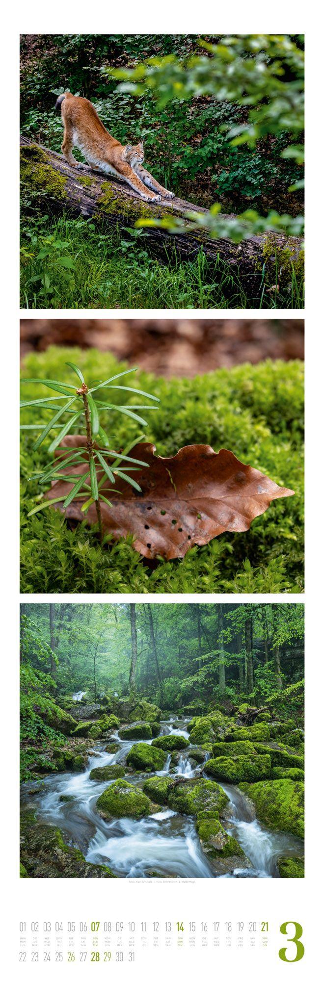 Beispielinhalt (Bild) Nature Triplet-Kalender 2027