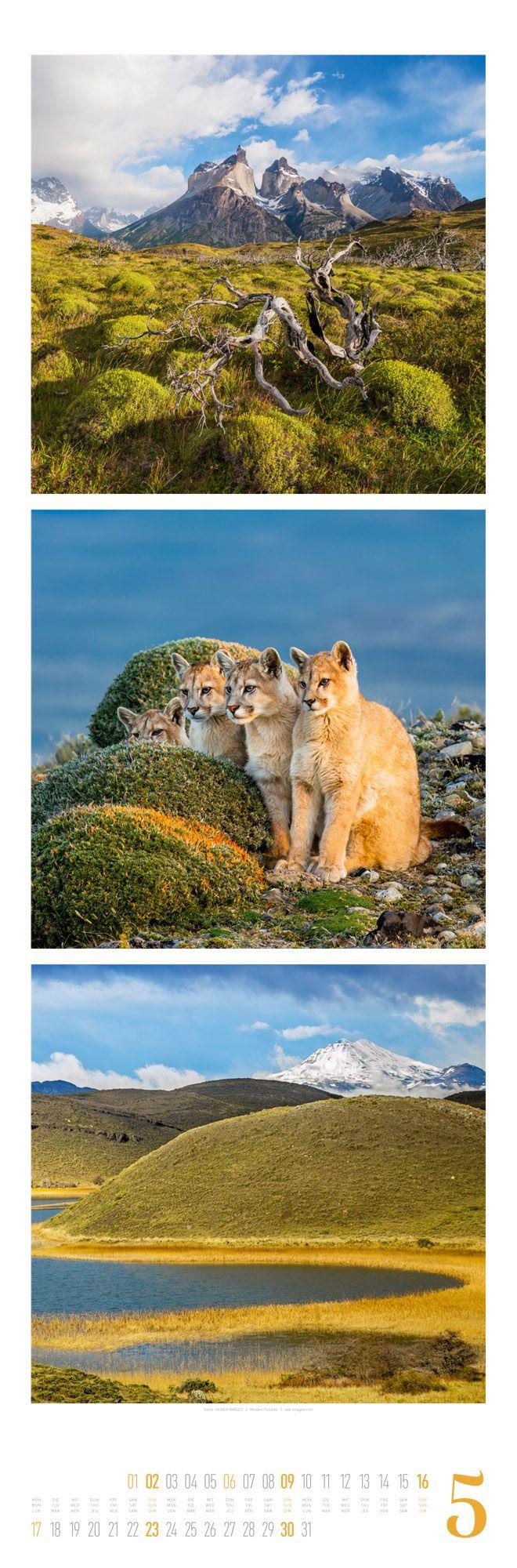 Beispielinhalt (Bild) Nature Triplet-Kalender 2027