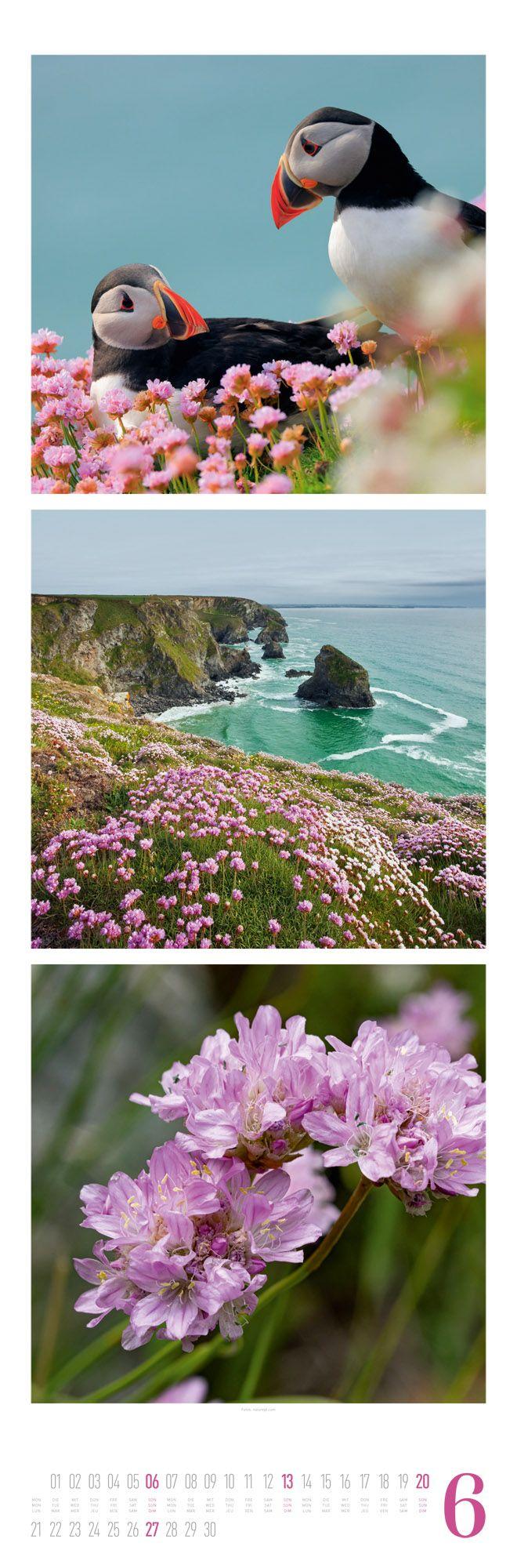 Beispielinhalt (Bild) Nature Triplet-Kalender 2027