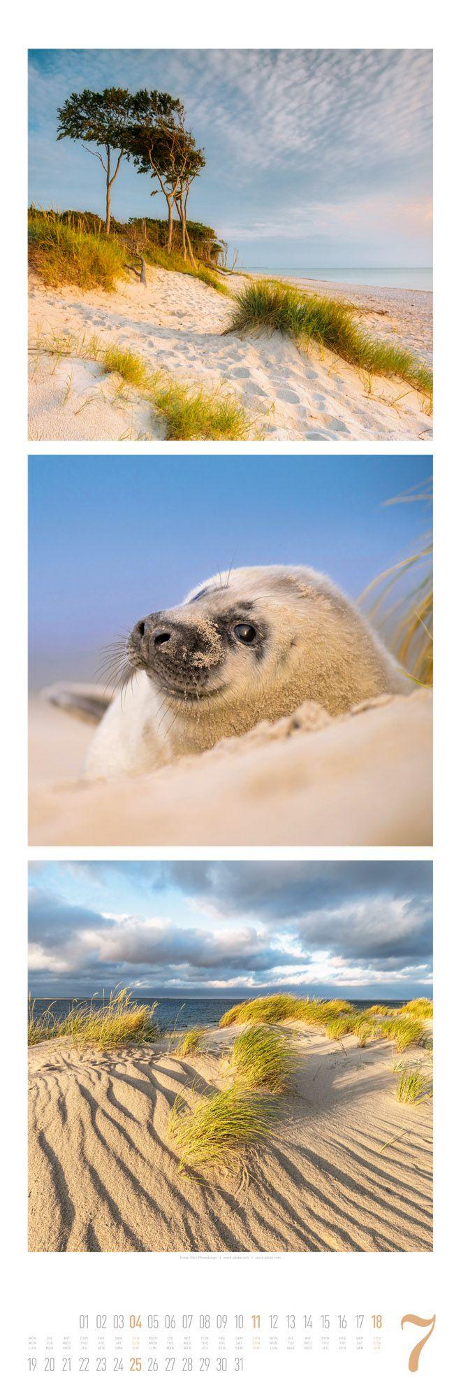 Beispielinhalt (Bild) Nature Triplet-Kalender 2027