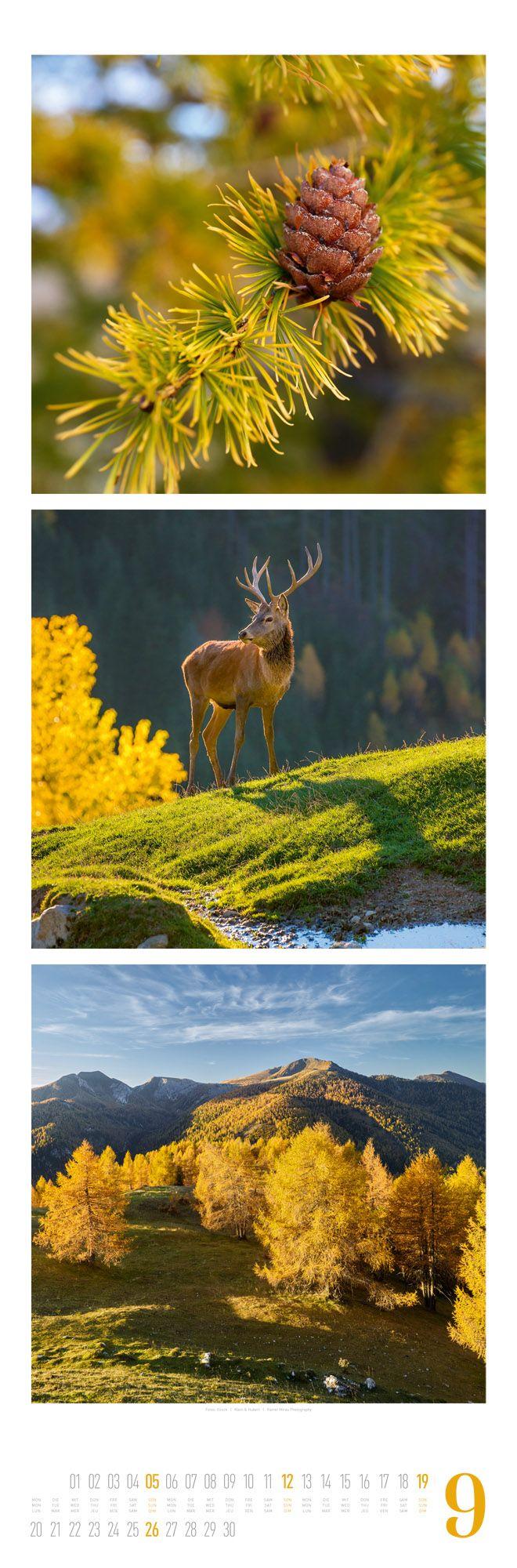 Beispielinhalt (Bild) Nature Triplet-Kalender 2027