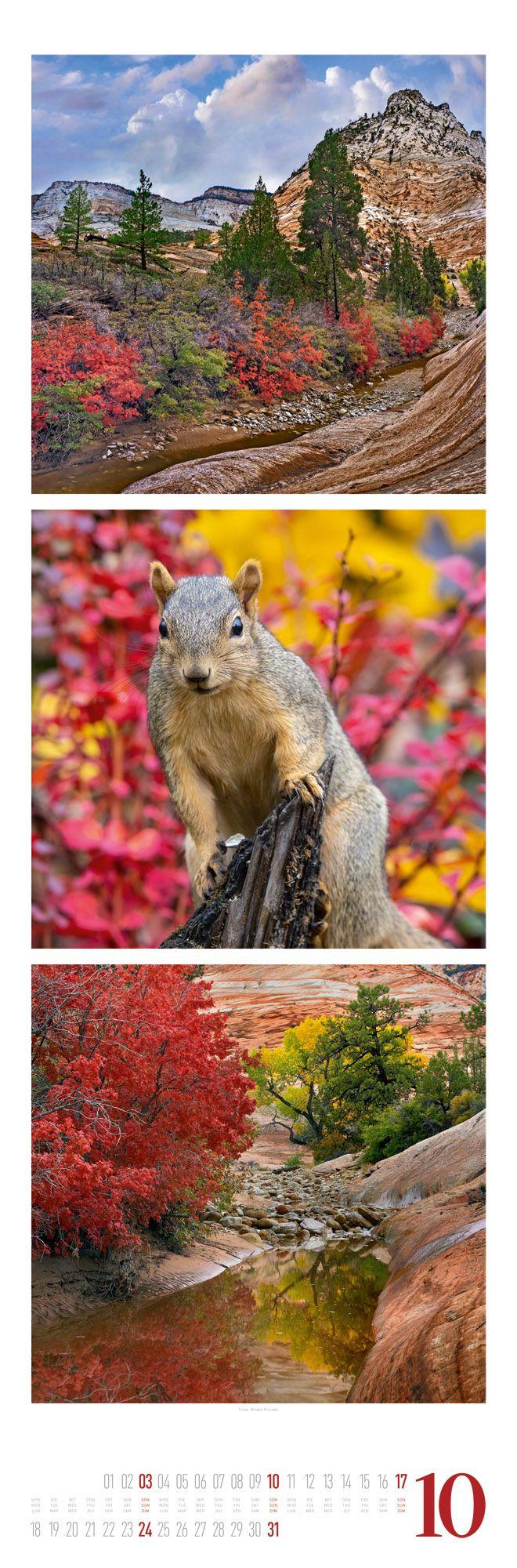 Beispielinhalt (Bild) Nature Triplet-Kalender 2027