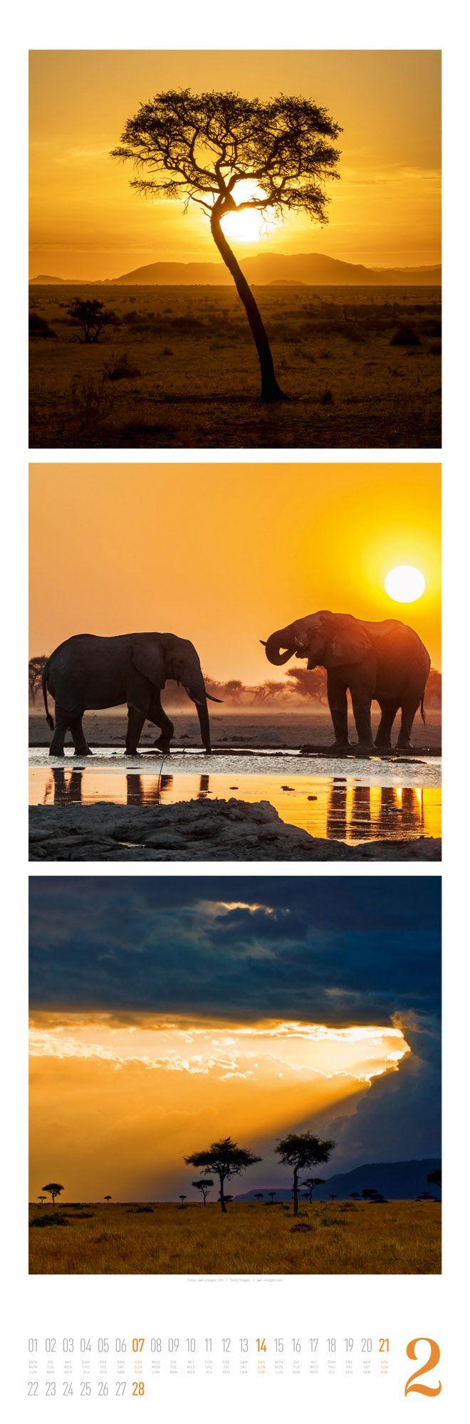 Beispielinhalt (Bild) Nature Triplet-Kalender 2027