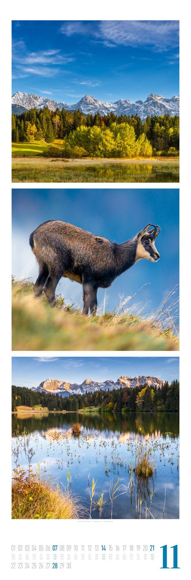 Beispielinhalt (Bild) Nature Triplet-Kalender 2027