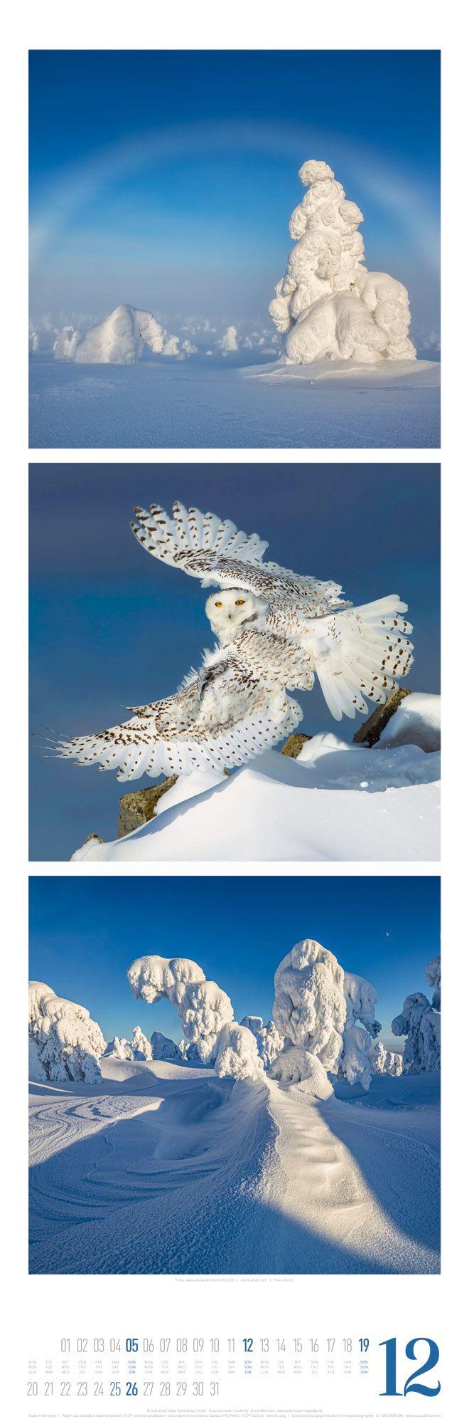 Beispielinhalt (Bild) Nature Triplet-Kalender 2027