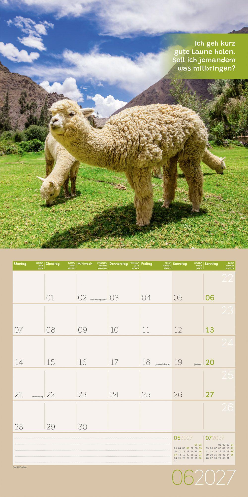 Beispielinhalt (Bild) No Drama, Lama Kalender 2027 - 30x30 - Art12