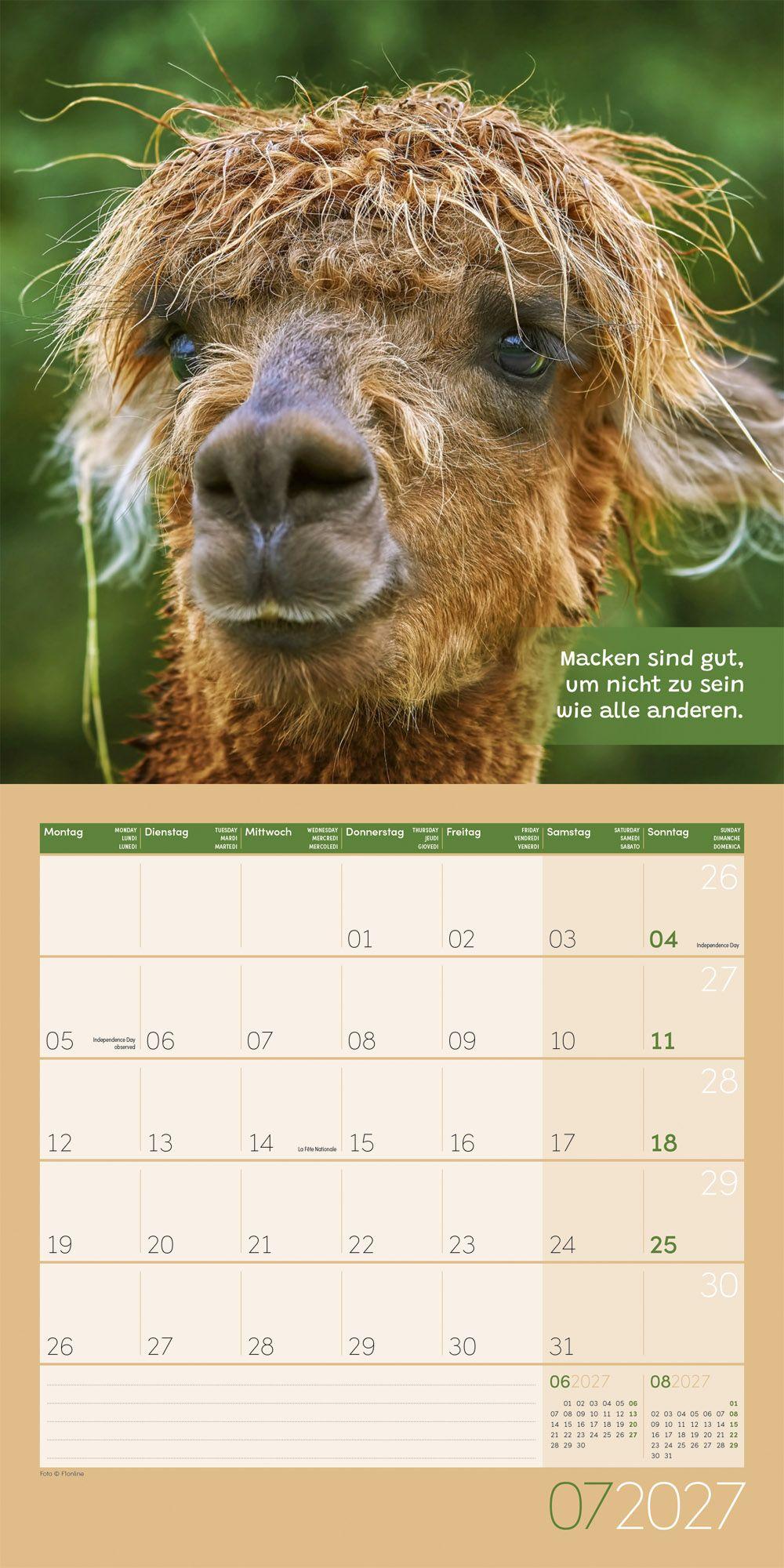 Beispielinhalt (Bild) No Drama, Lama Kalender 2027 - 30x30 - Art12