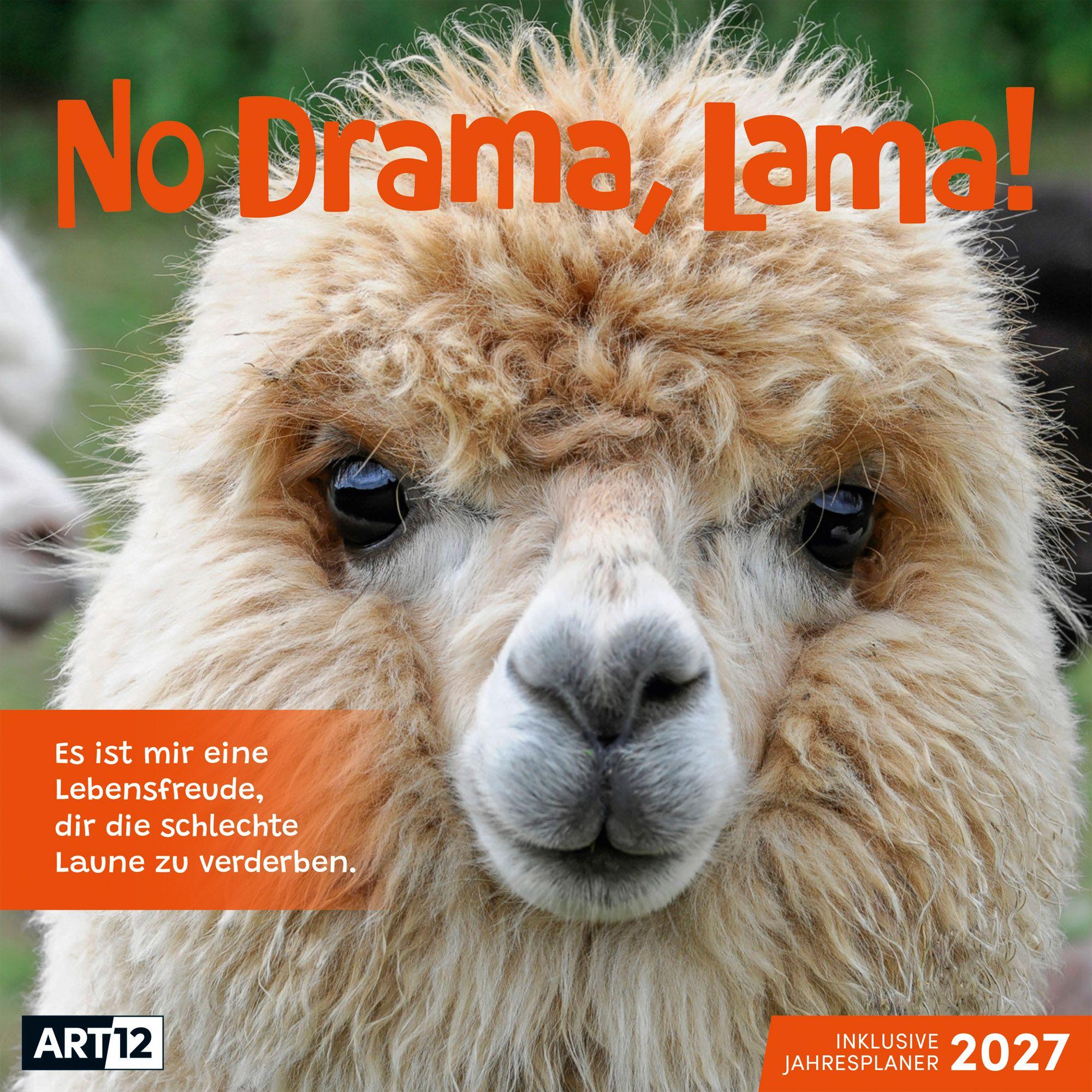 Vorderes Coverbild No Drama, Lama Kalender 2027 - 30x30 - Art12