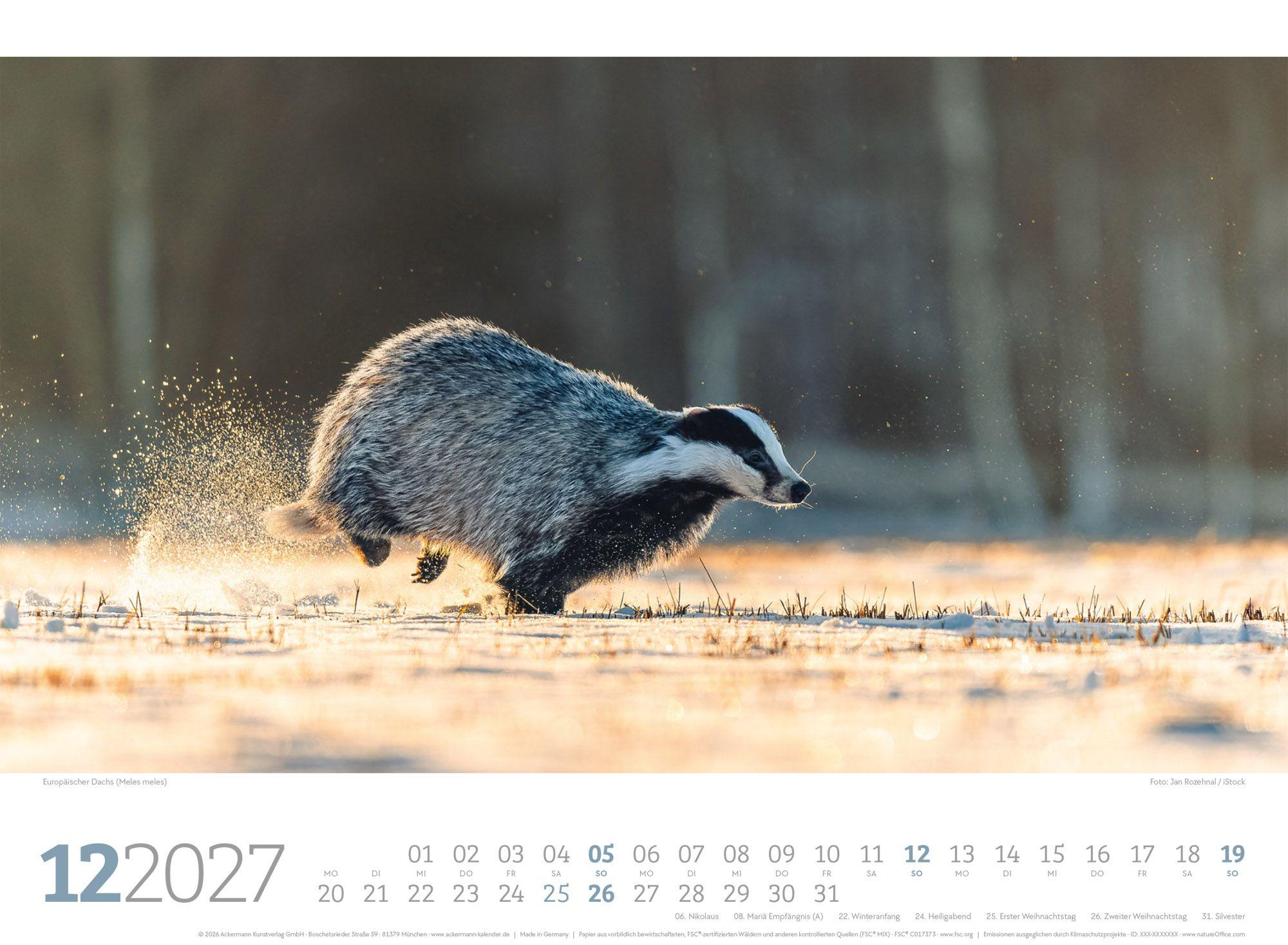 Beispielinhalt (Bild) Tierwelt Wald Kalender 2027