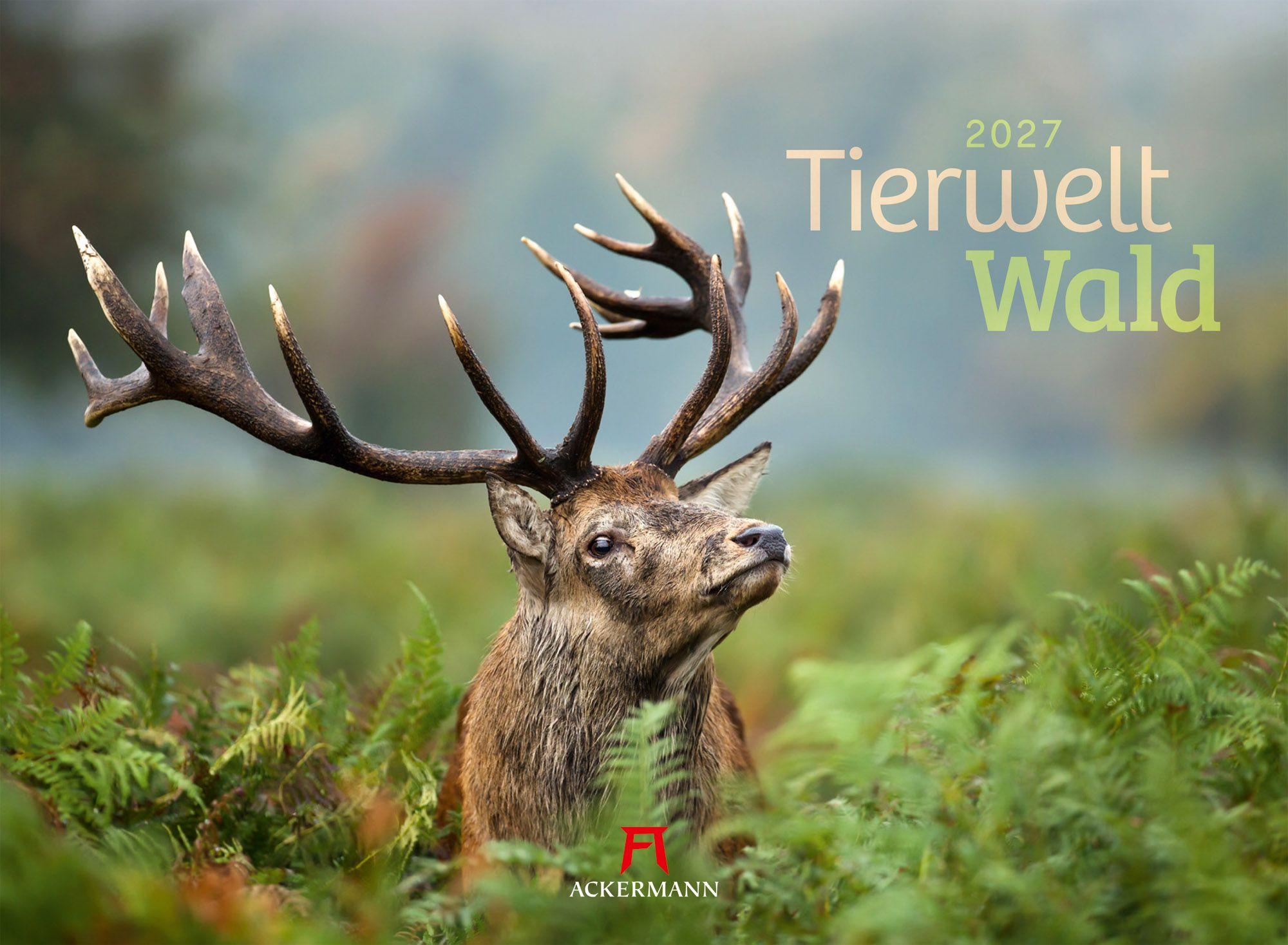 Vorderes Coverbild Tierwelt Wald Kalender 2027