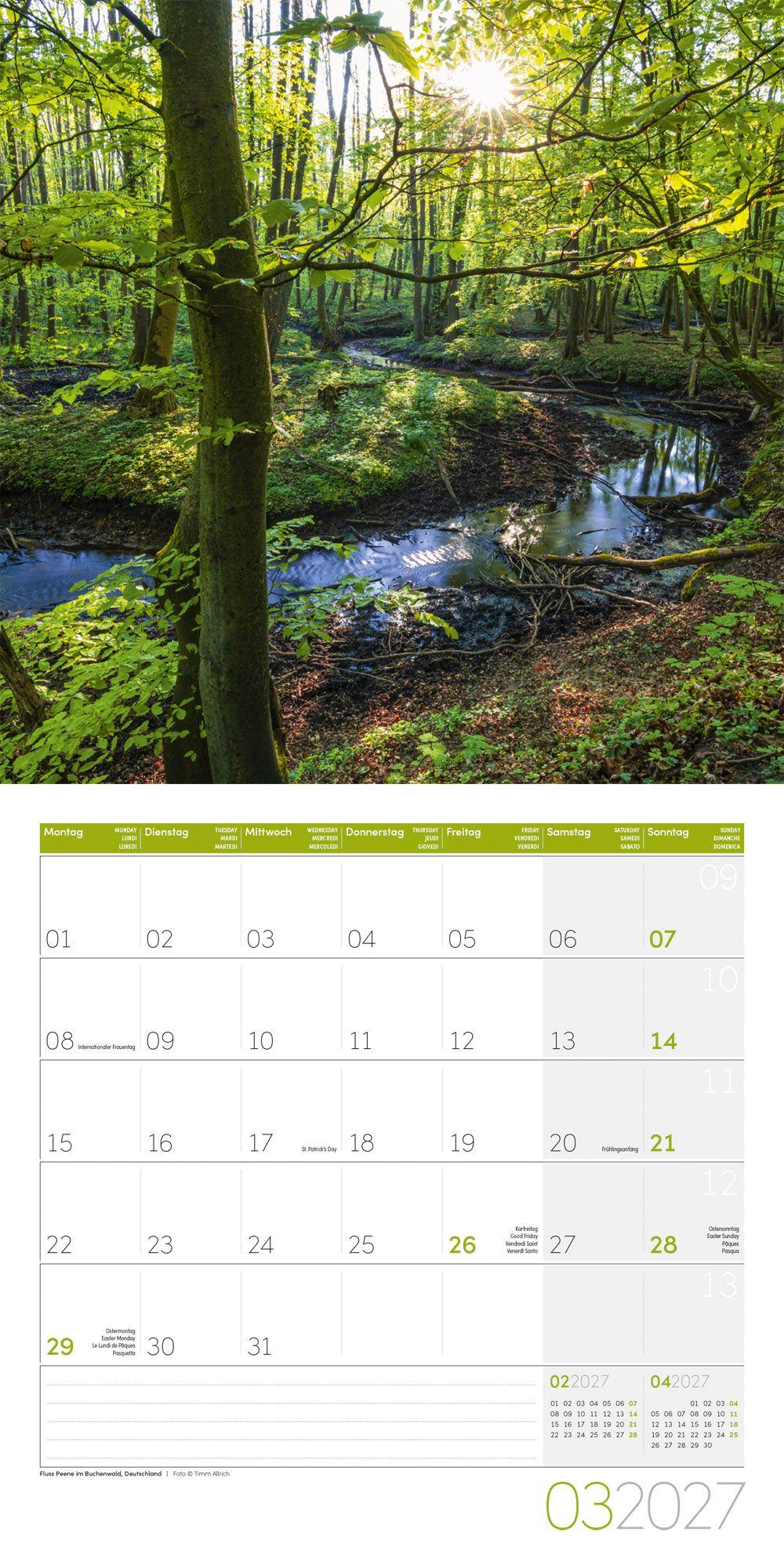 Beispielinhalt (Bild) Zauber des Waldes Kalender 2027 - 30x30 - Art12