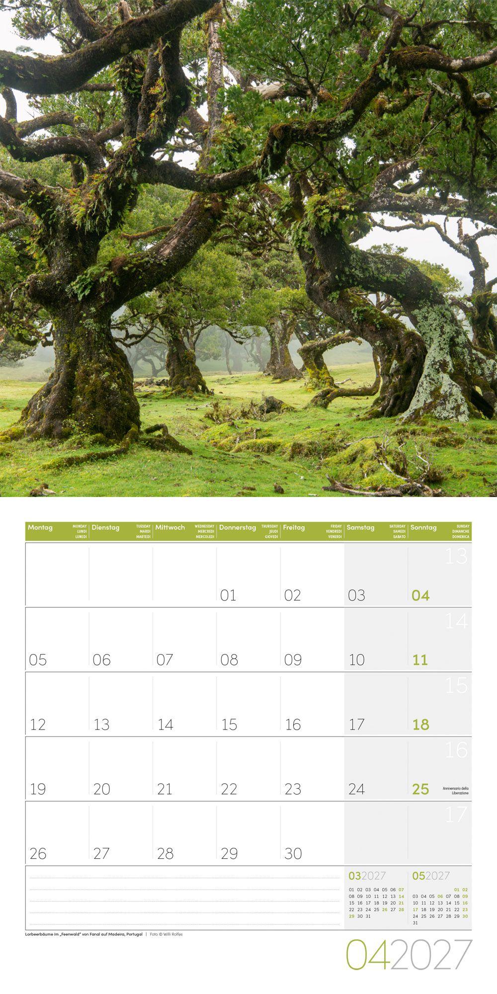 Beispielinhalt (Bild) Zauber des Waldes Kalender 2027 - 30x30 - Art12