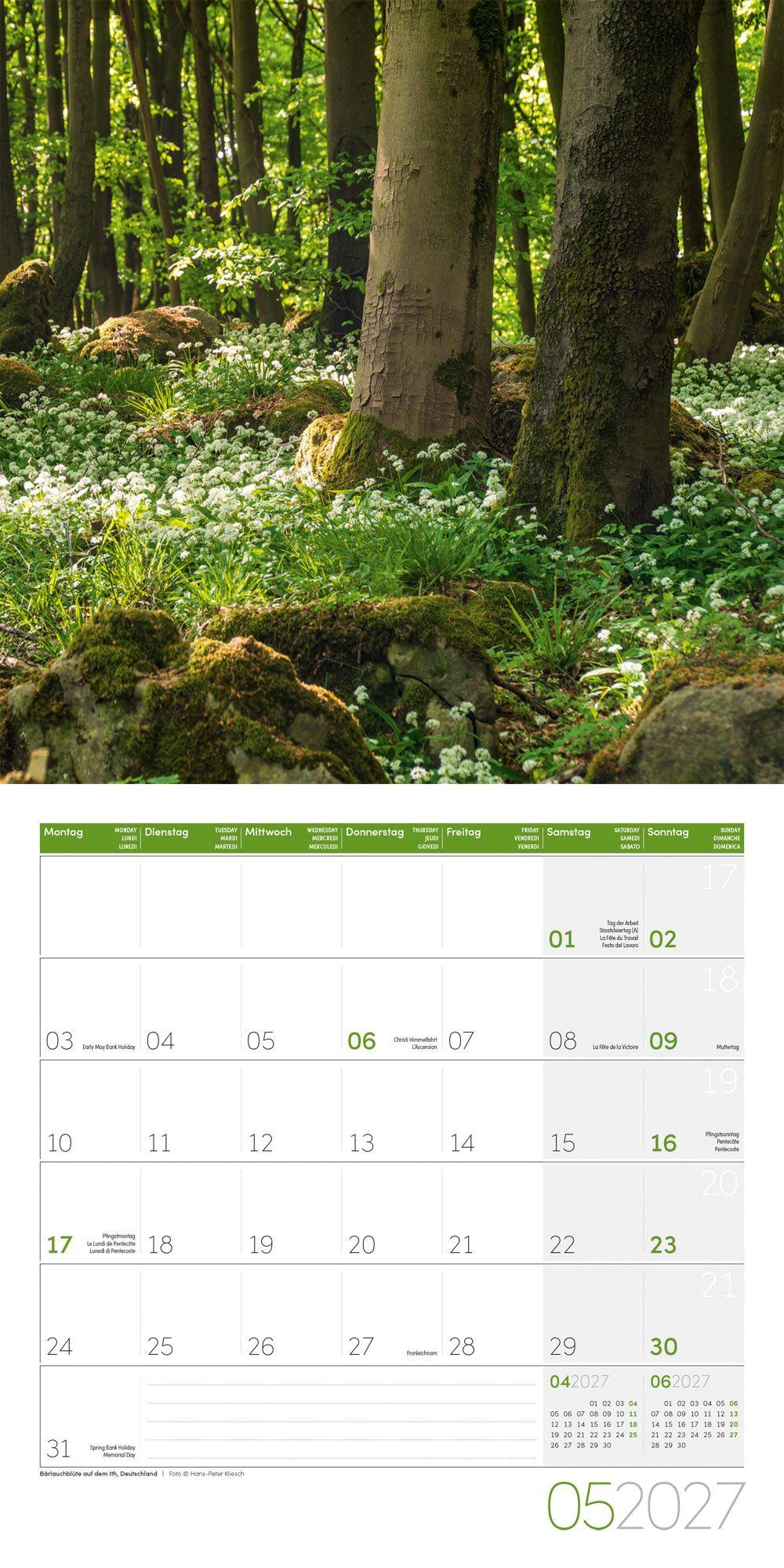 Beispielinhalt (Bild) Zauber des Waldes Kalender 2027 - 30x30 - Art12