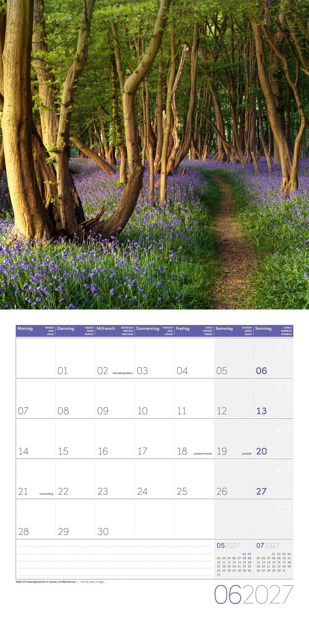 Beispielinhalt (Bild) Zauber des Waldes Kalender 2027 - 30x30 - Art12