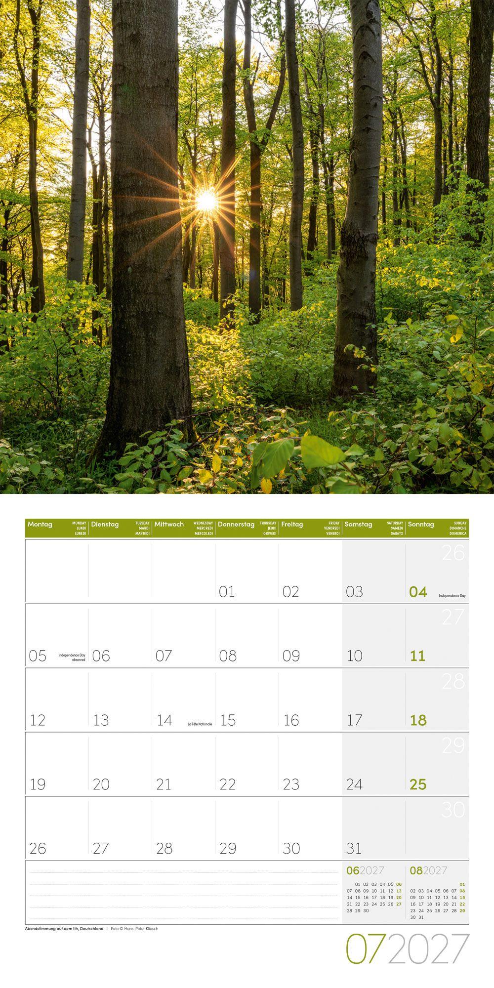 Beispielinhalt (Bild) Zauber des Waldes Kalender 2027 - 30x30 - Art12