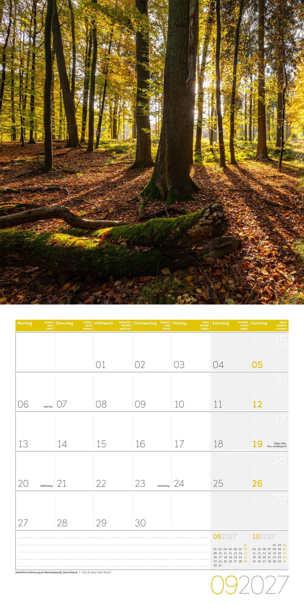 Beispielinhalt (Bild) Zauber des Waldes Kalender 2027 - 30x30 - Art12