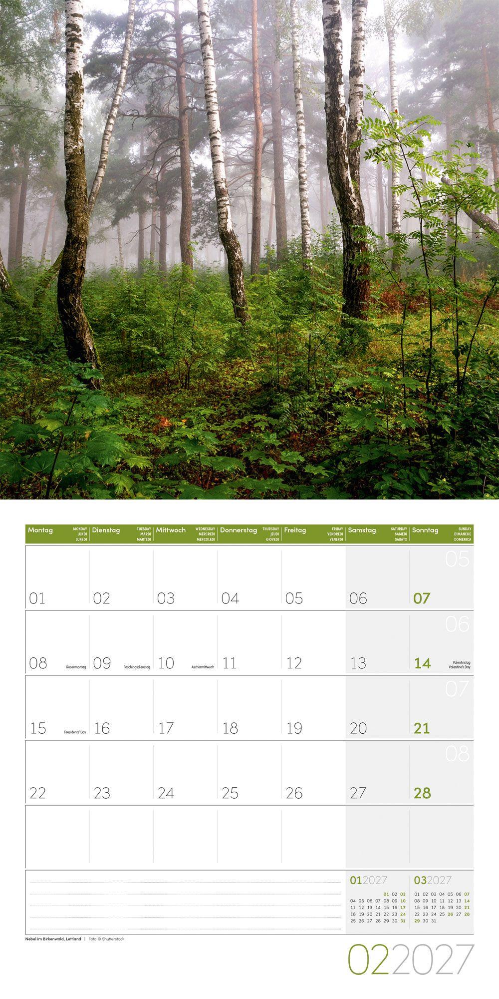 Beispielinhalt (Bild) Zauber des Waldes Kalender 2027 - 30x30 - Art12