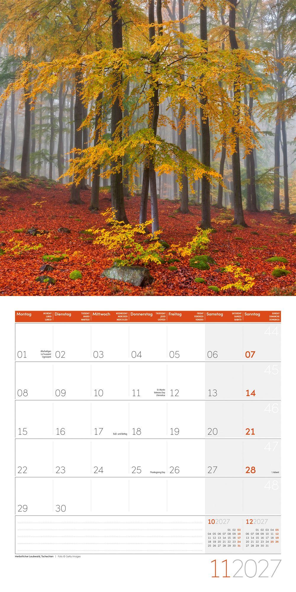 Beispielinhalt (Bild) Zauber des Waldes Kalender 2027 - 30x30 - Art12